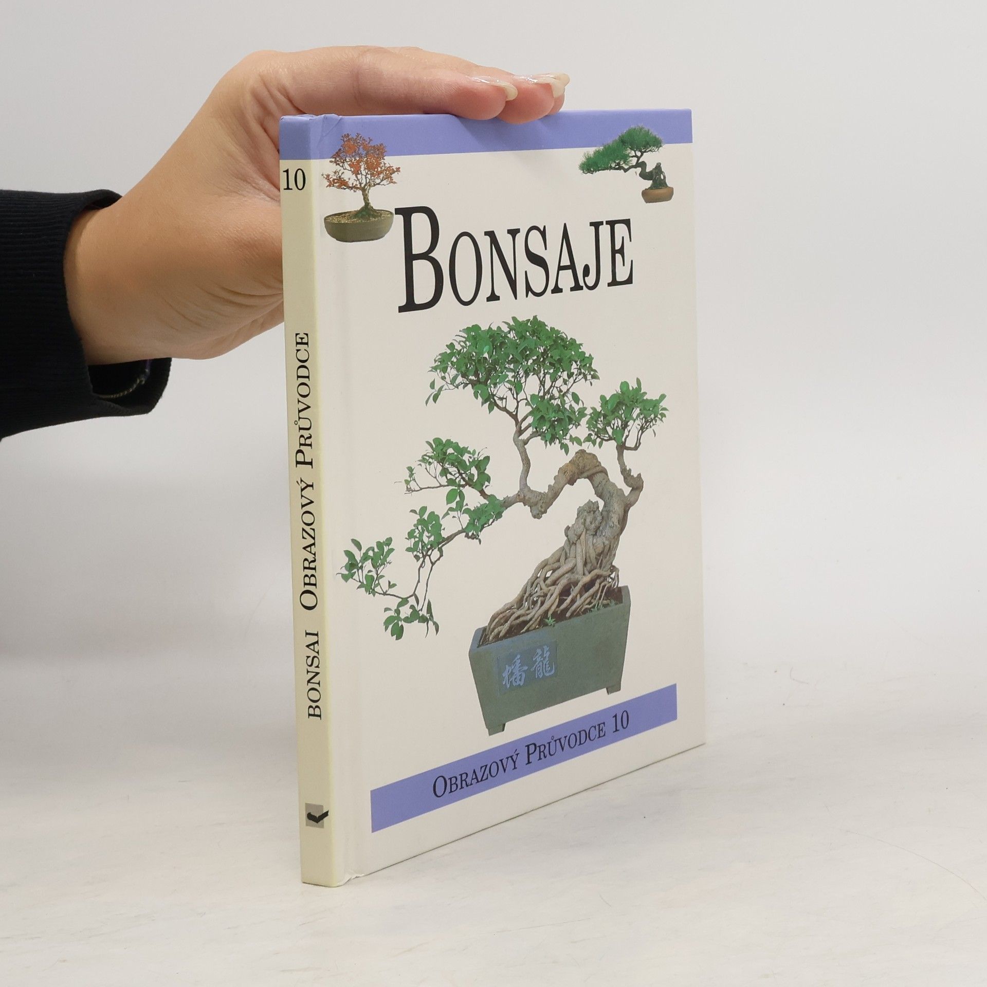 Autores varios Bonsaje