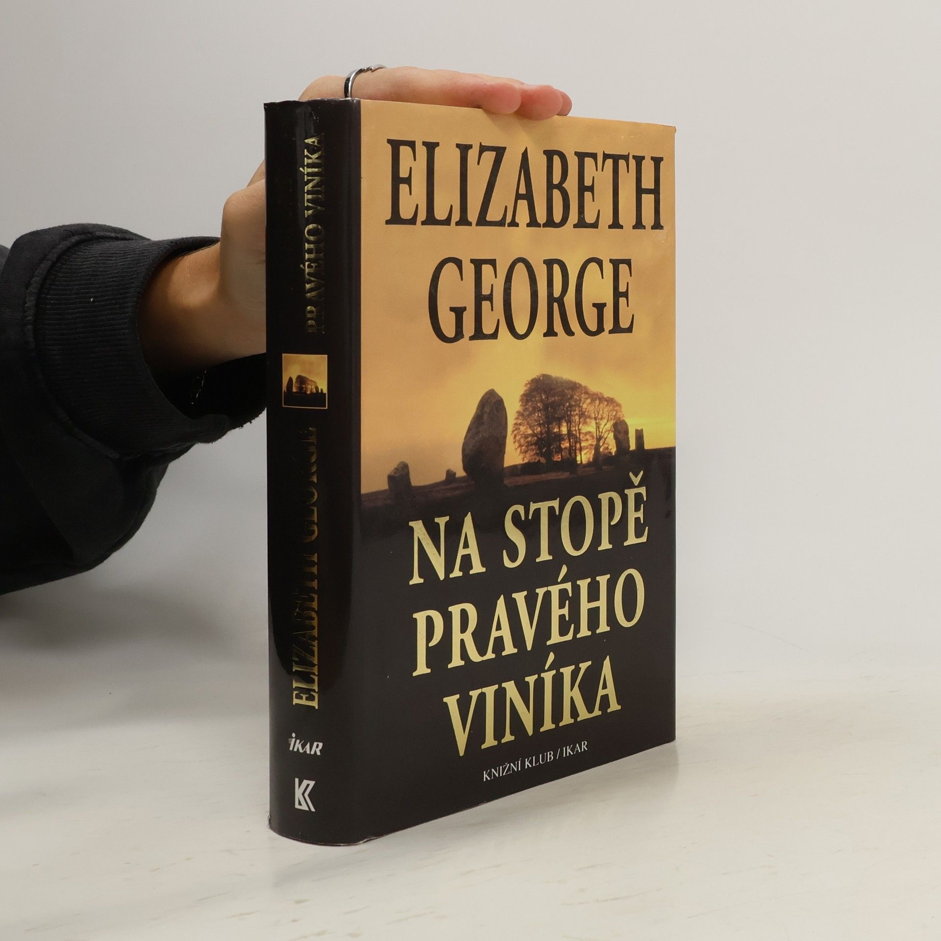 Na stopě pravého viníka