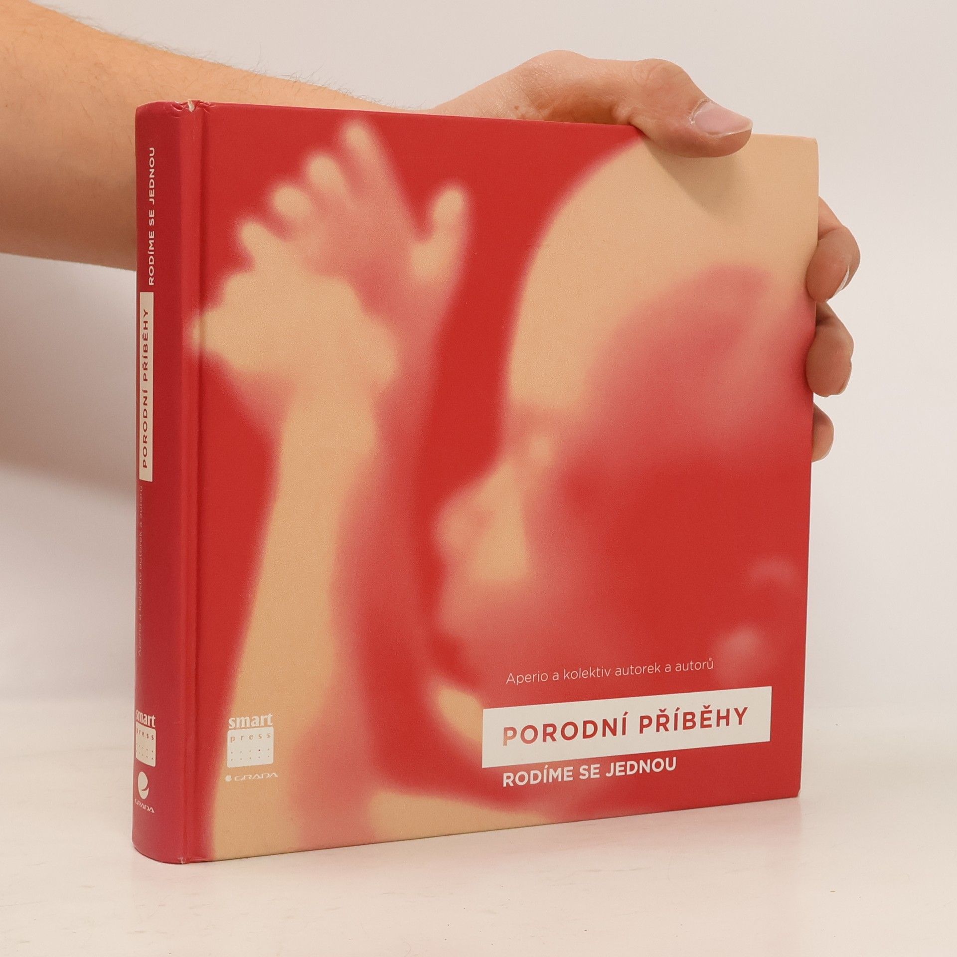 Autorenkollektiv Porodní příběhy . Rodíme se jednou