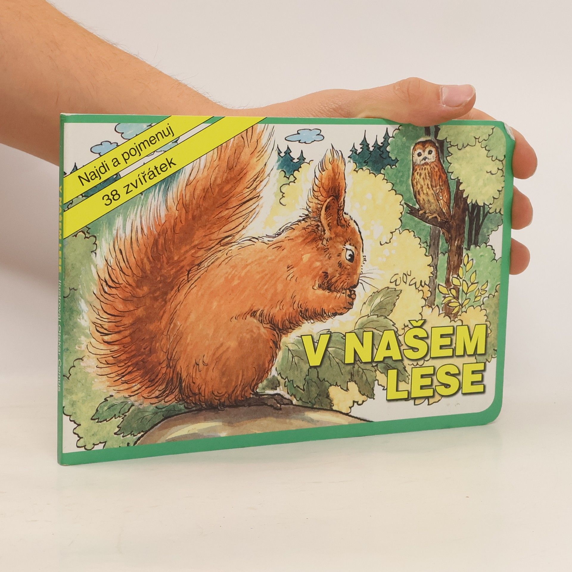 V našem lese : najdi a pojmenuj 38 zvířátek