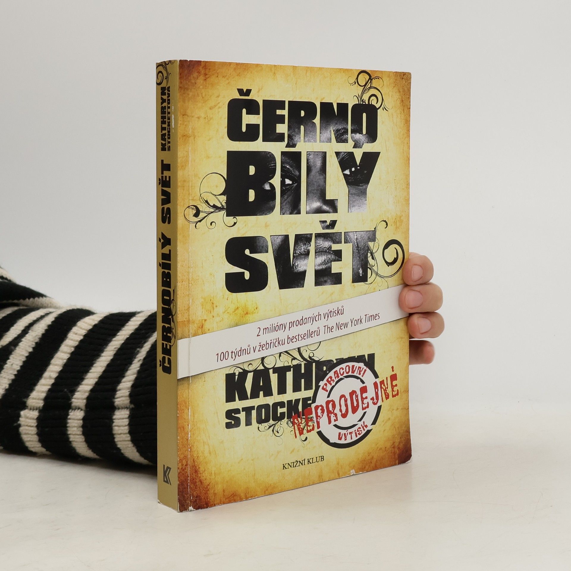 Kathryn Stockett Černobílý svět