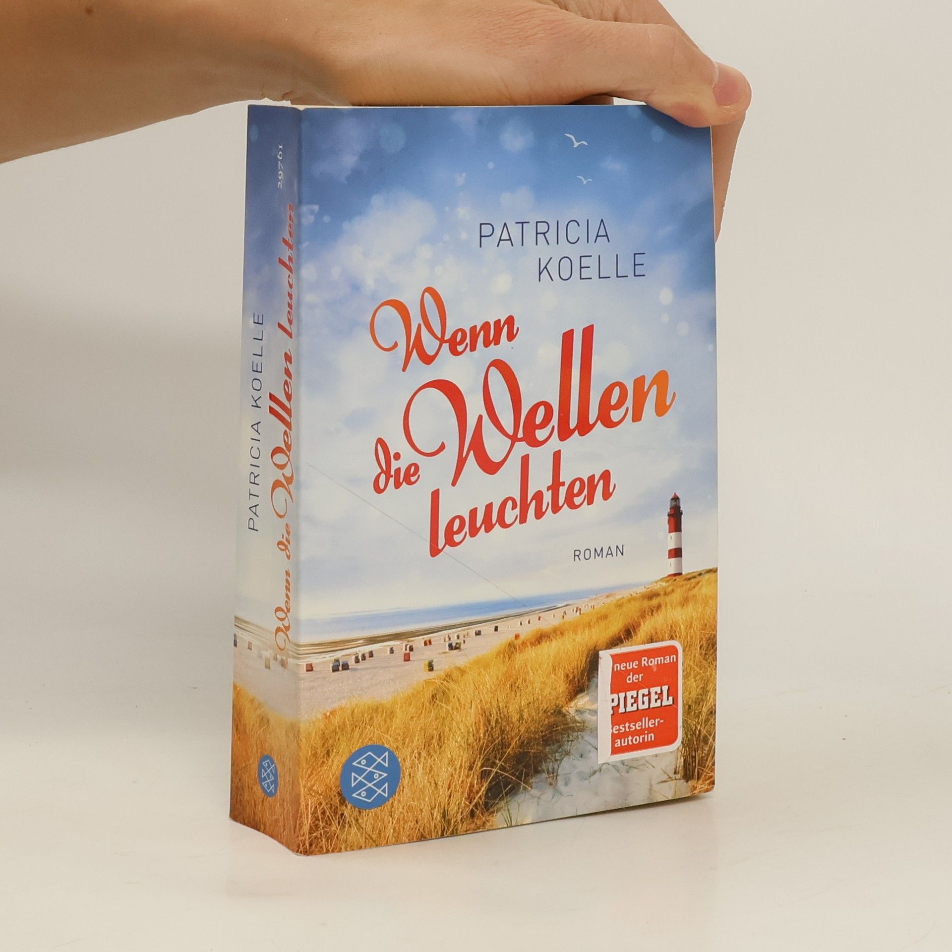 Patricia Koelle Wenn die Wellen leuchten