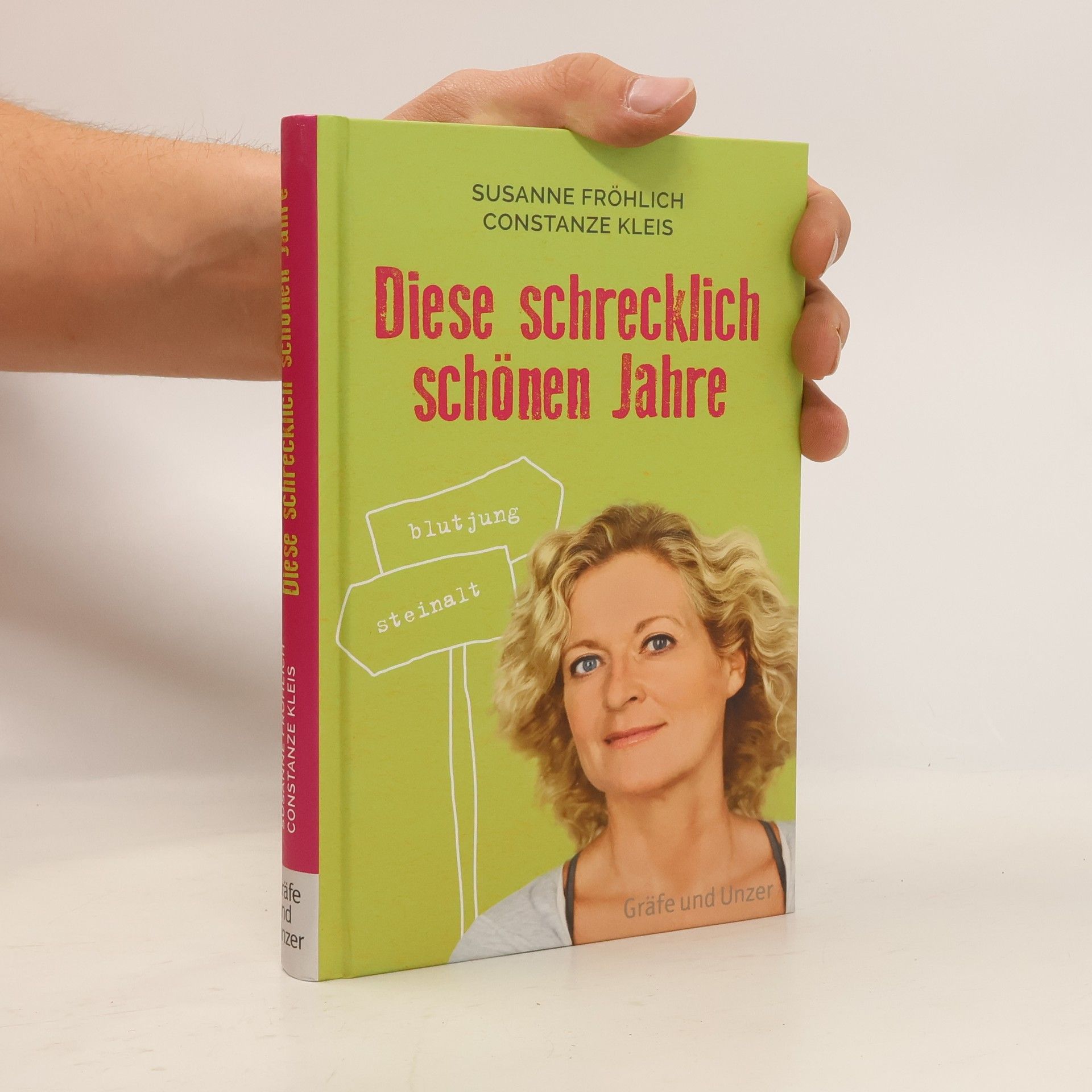 Susanne Fröhlich Diese schrecklich schönen Jahre