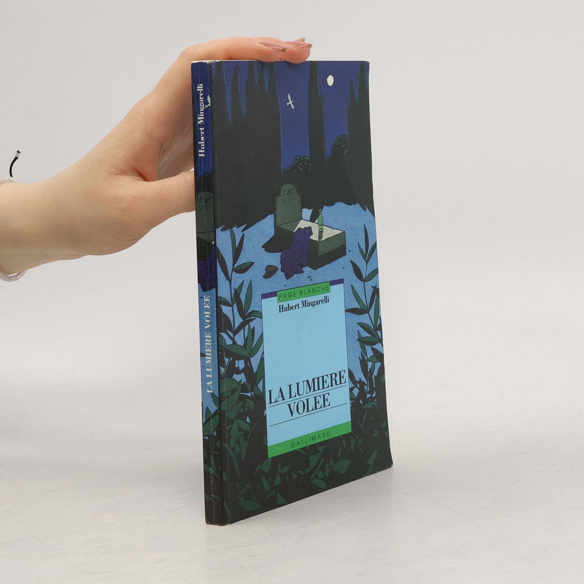 Hubert Mingarelli Page Blanche: La lumière volée