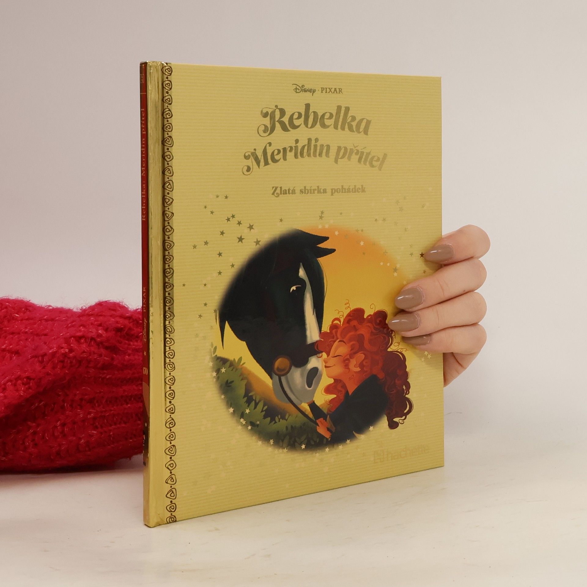 Kolektiv autorů Rebelka. Meridin přítel