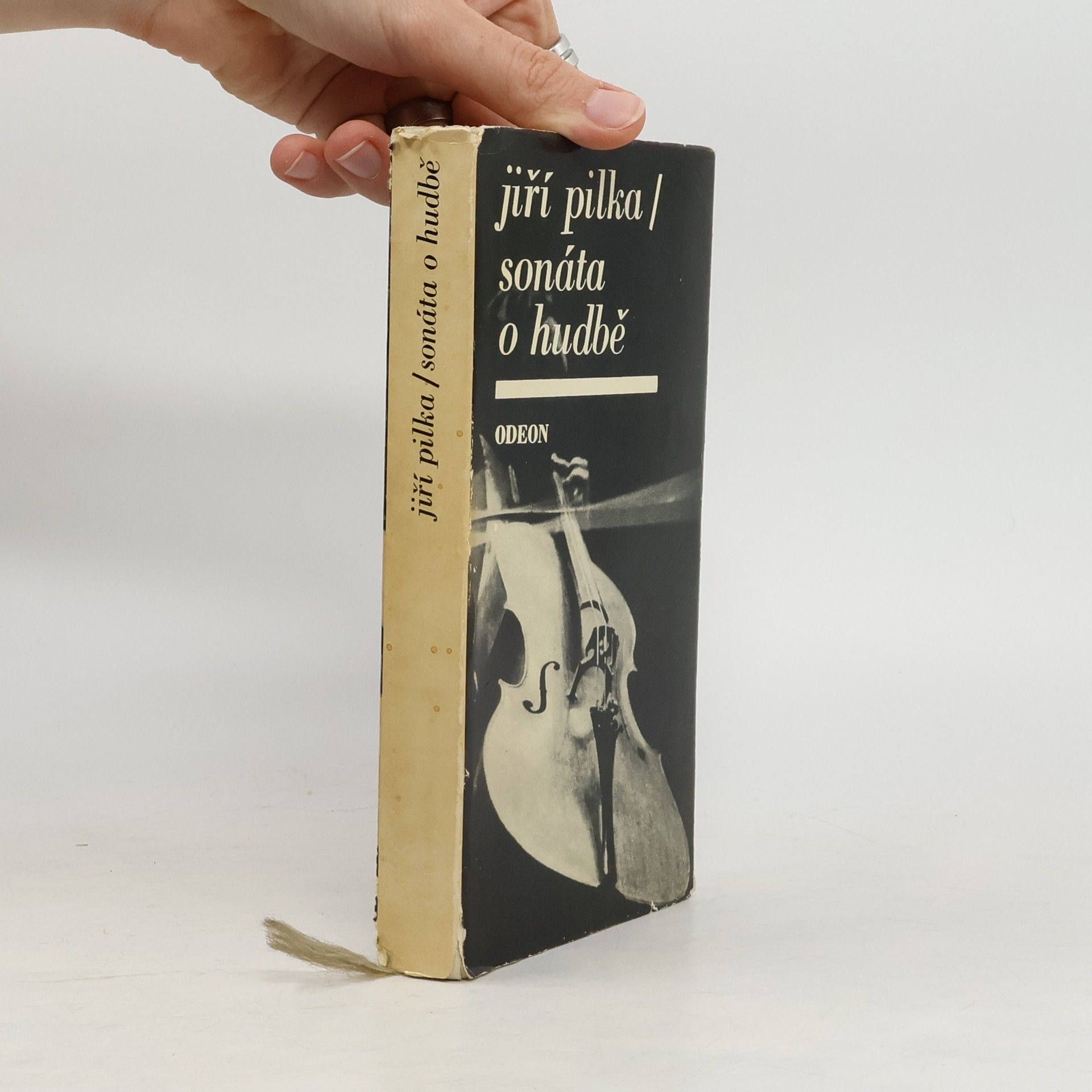 Jiří Pilka Sonáta o hudbě