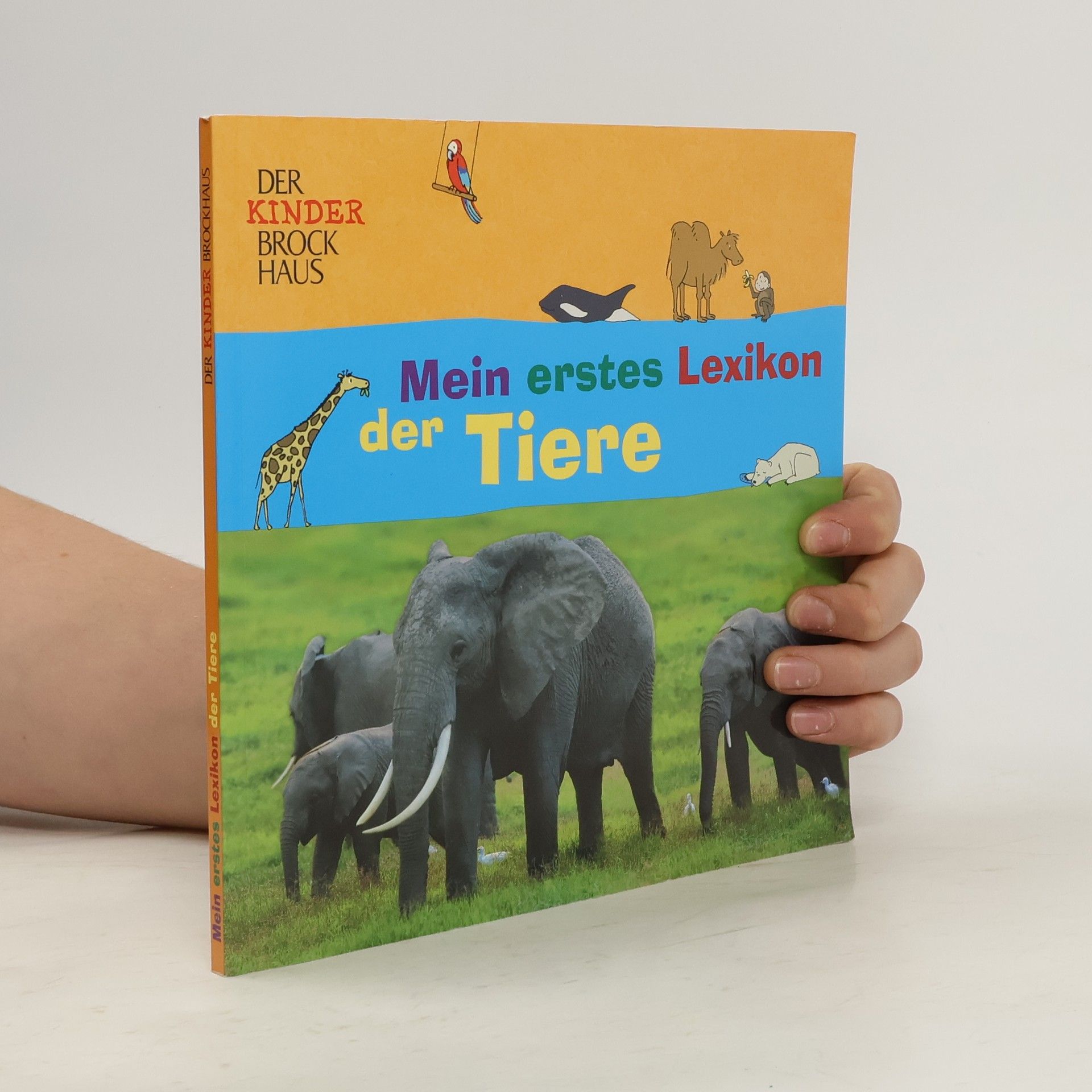 Autorenkollektiv Mein erstes Lexikon derTiere