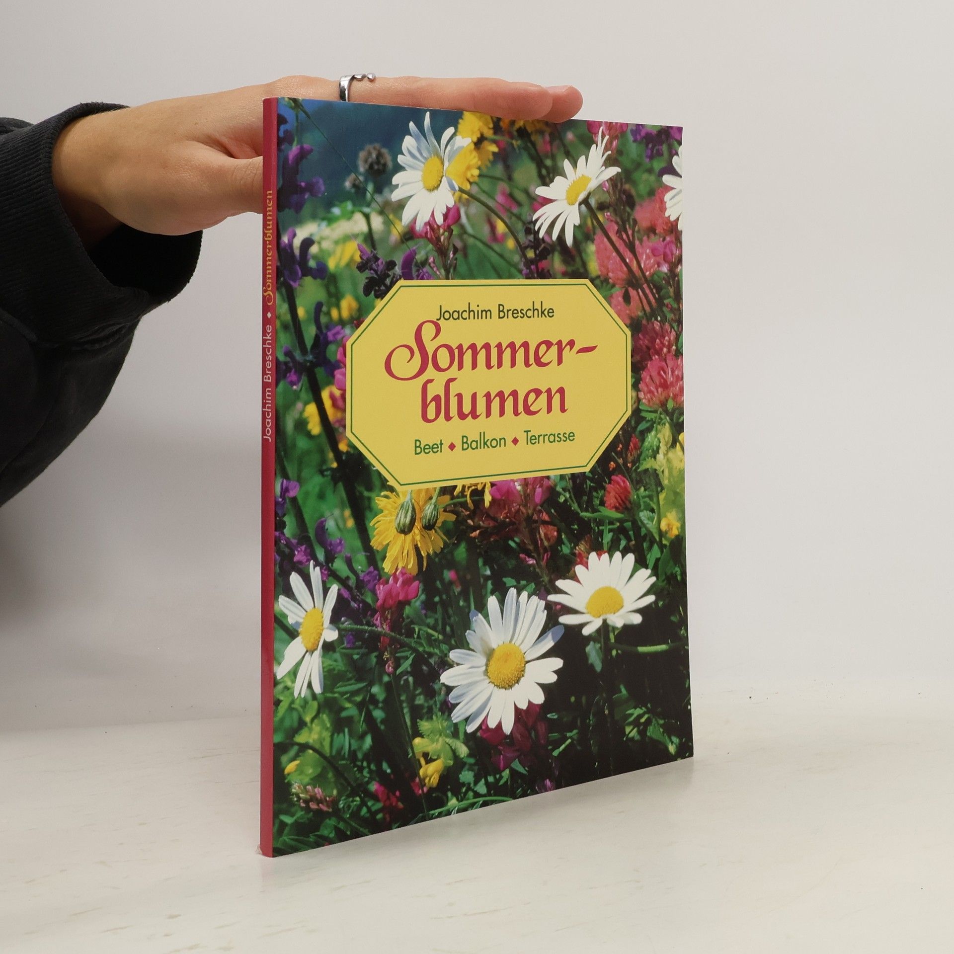 Sommerblumen
