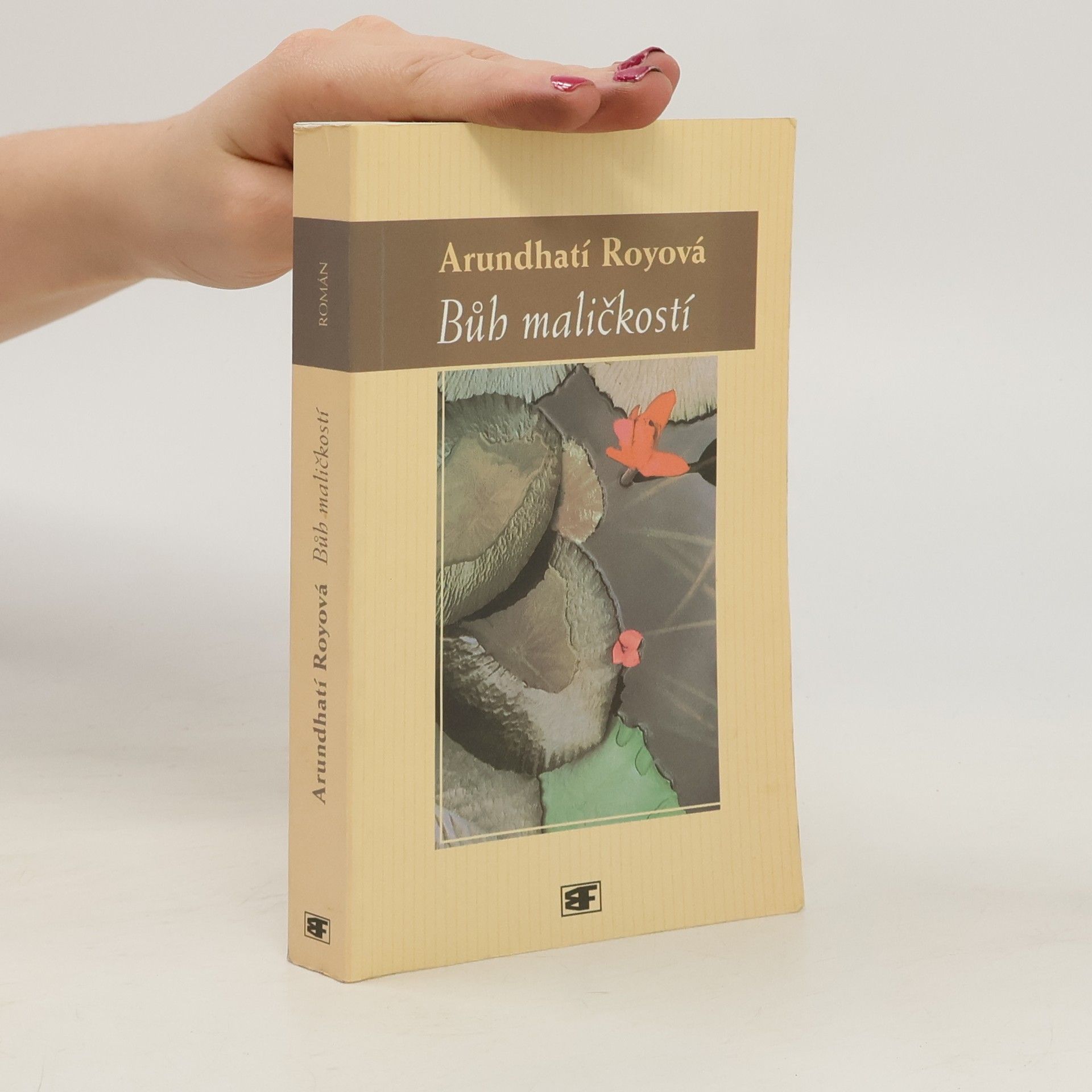 Arundhati Roy Bůh maličkostí