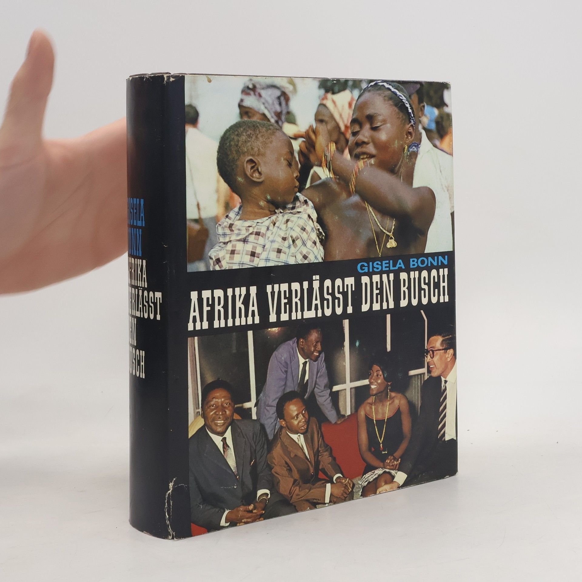 Afrika verlässt den Busch