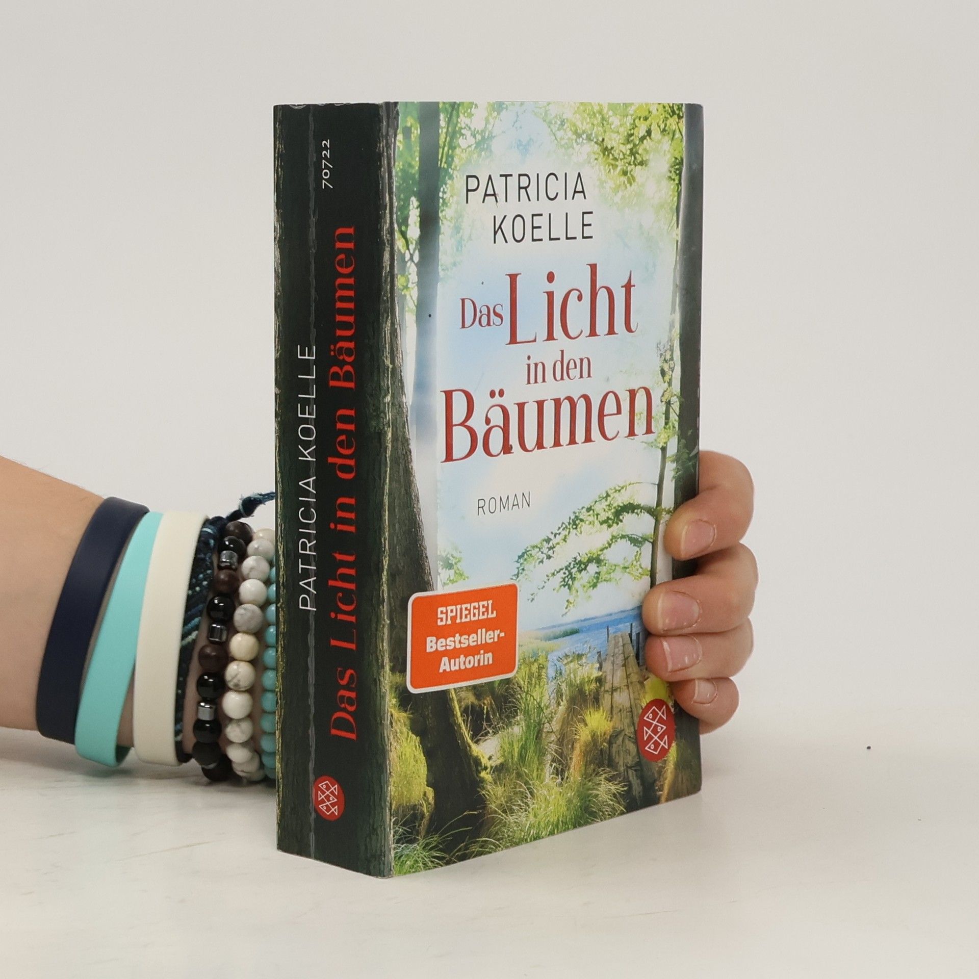 Patricia Koelle Das Licht in den Bäumen