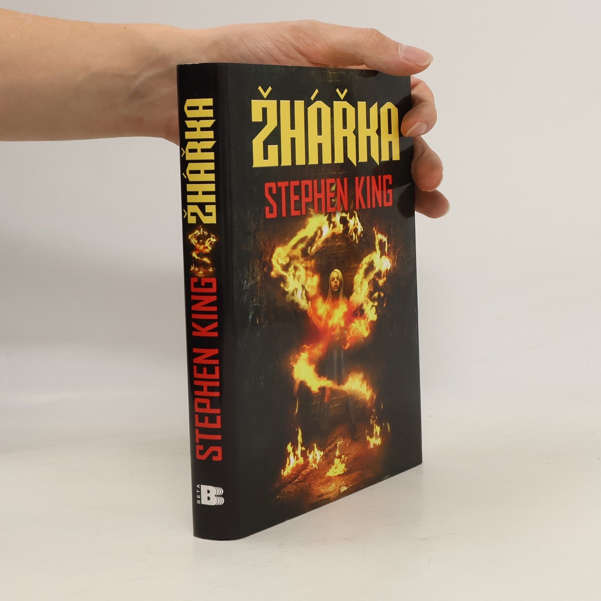 Stephen King Žhářka