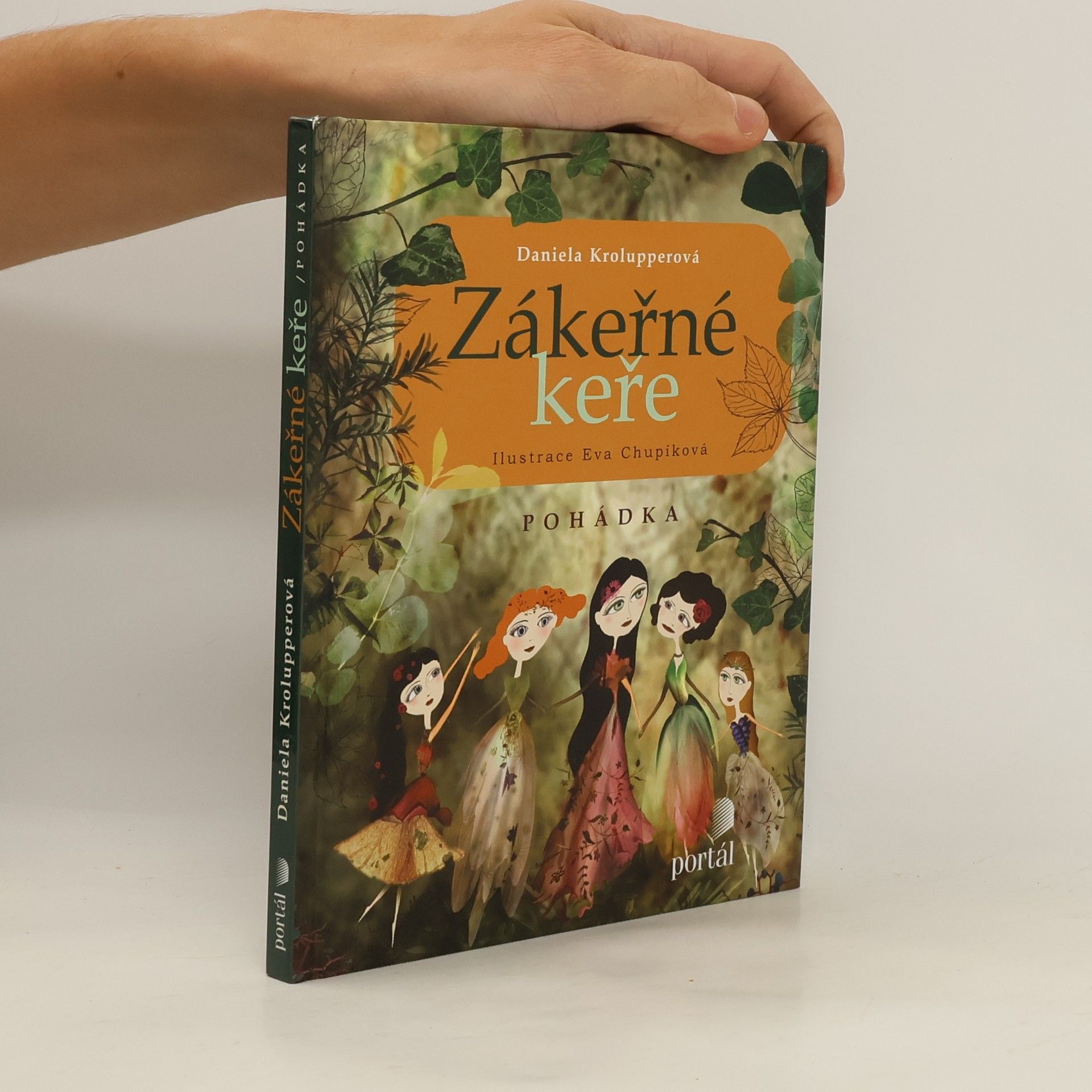 Daniela Krolupperová Zákeřné keře : pohádka