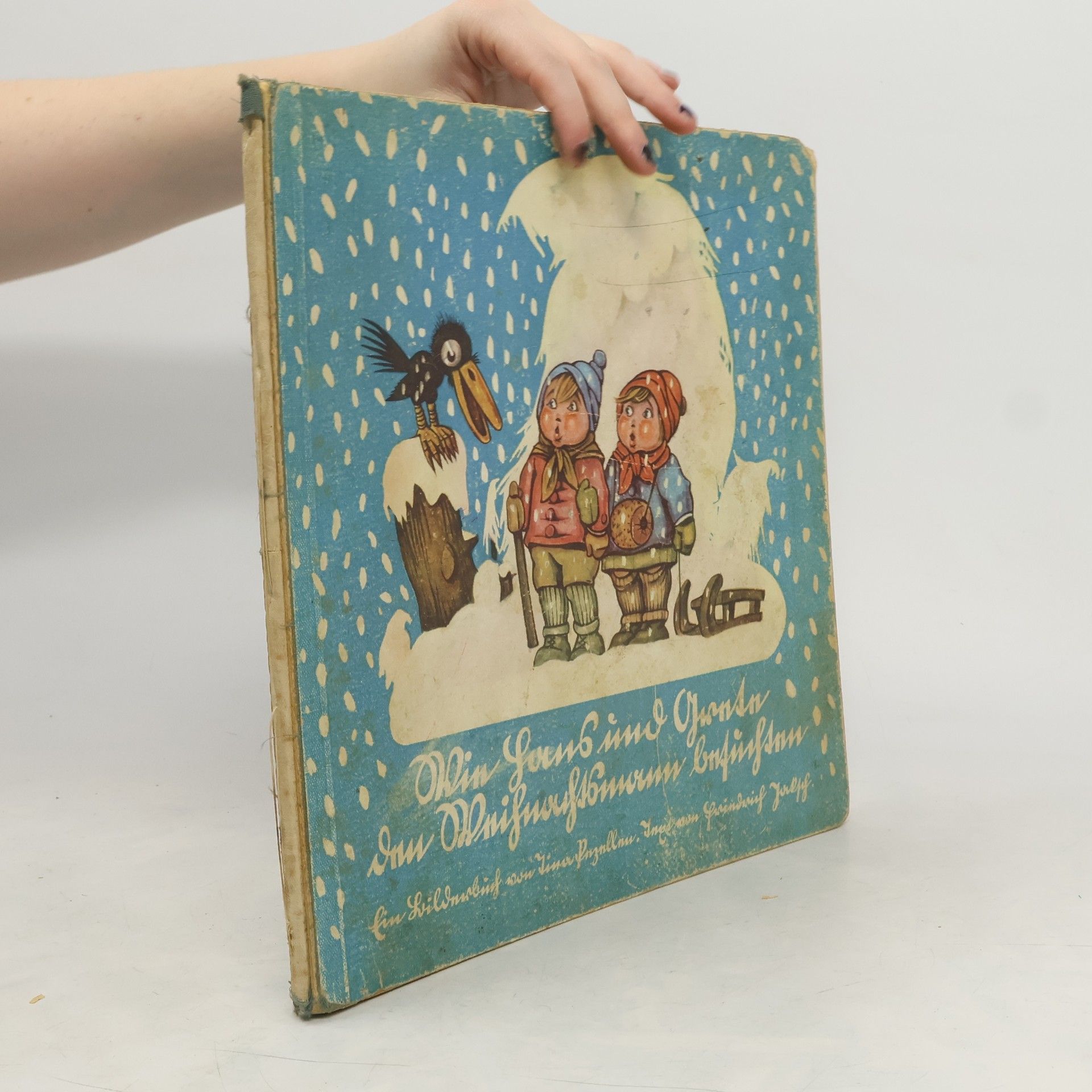 Friedrich Jaksch Wie Hans und Grete den Weihnachtsmann besuchten