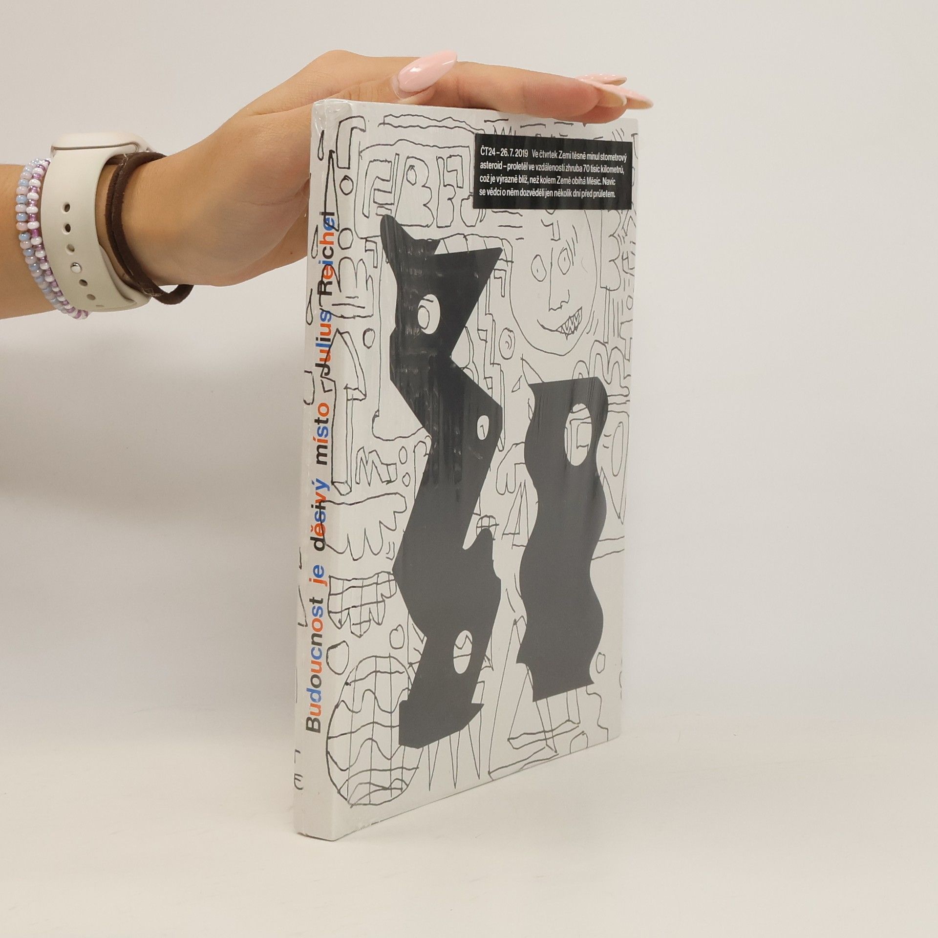 Kolektiv autorů Julius Reichel