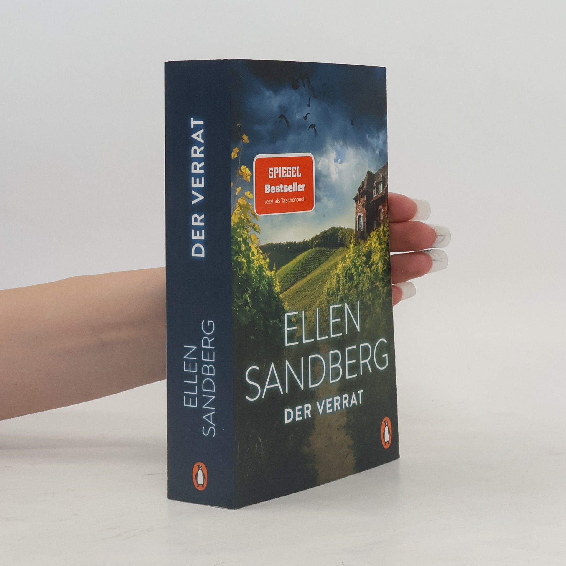 Ellen Sandberg Der Verrat