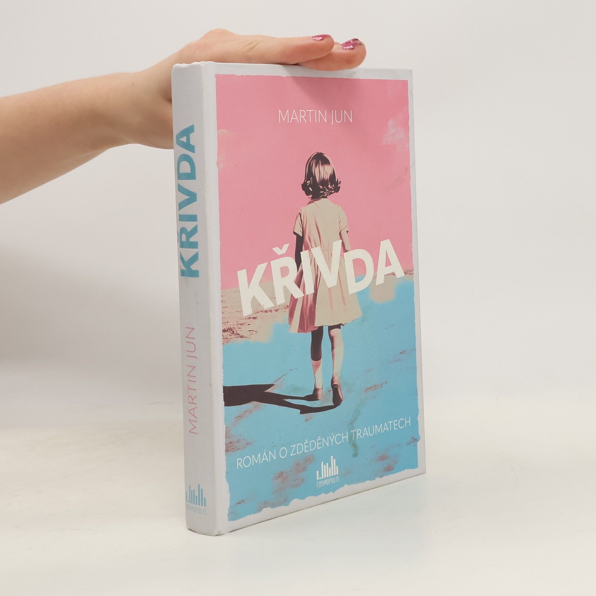 Martin Jun Křivda. Román o zděděných traumatech