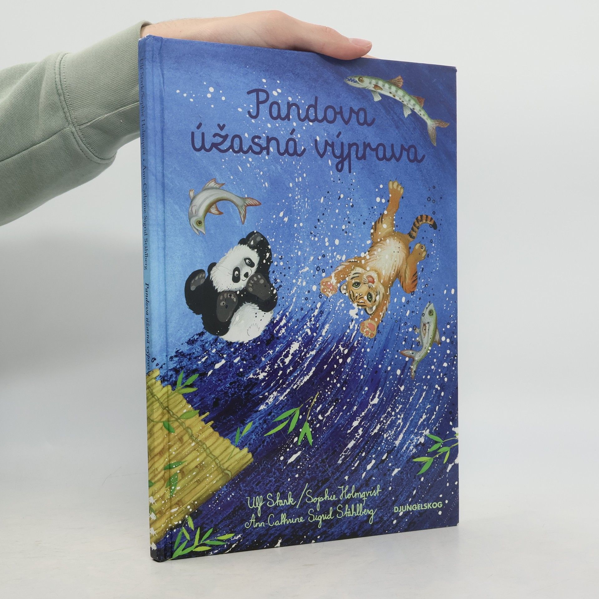 Kolektiv autorů Pandova úžasná výprava