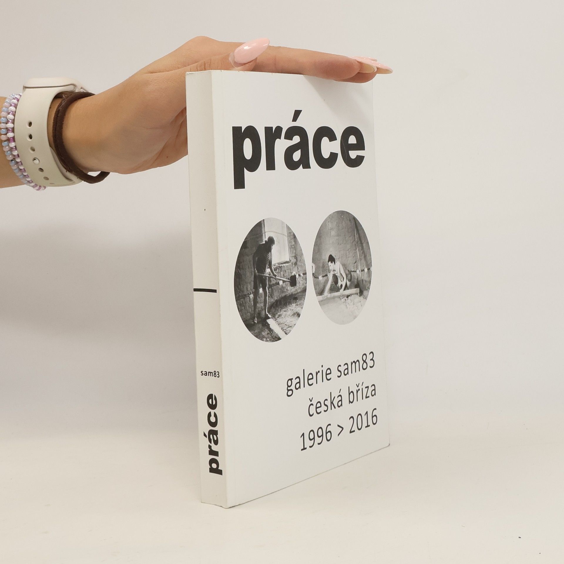 Collectif d'auteurs Práce