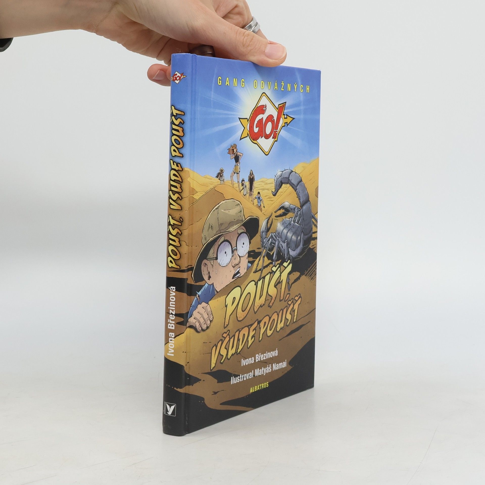 Ivona Březinová Poušť, všude poušť