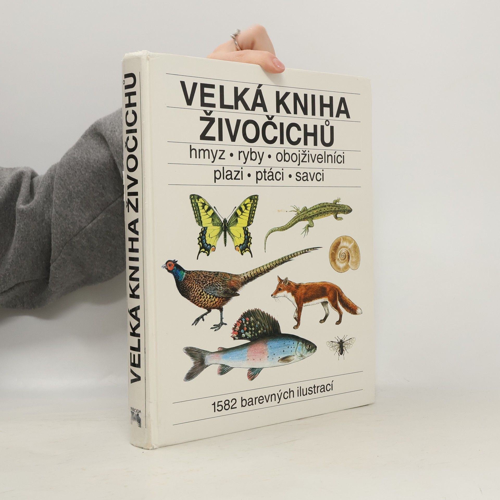Kolektiv autorů Velká kniha živočichů. Hmyz, ryby, obojživelníci, plazi, ptáci, savci