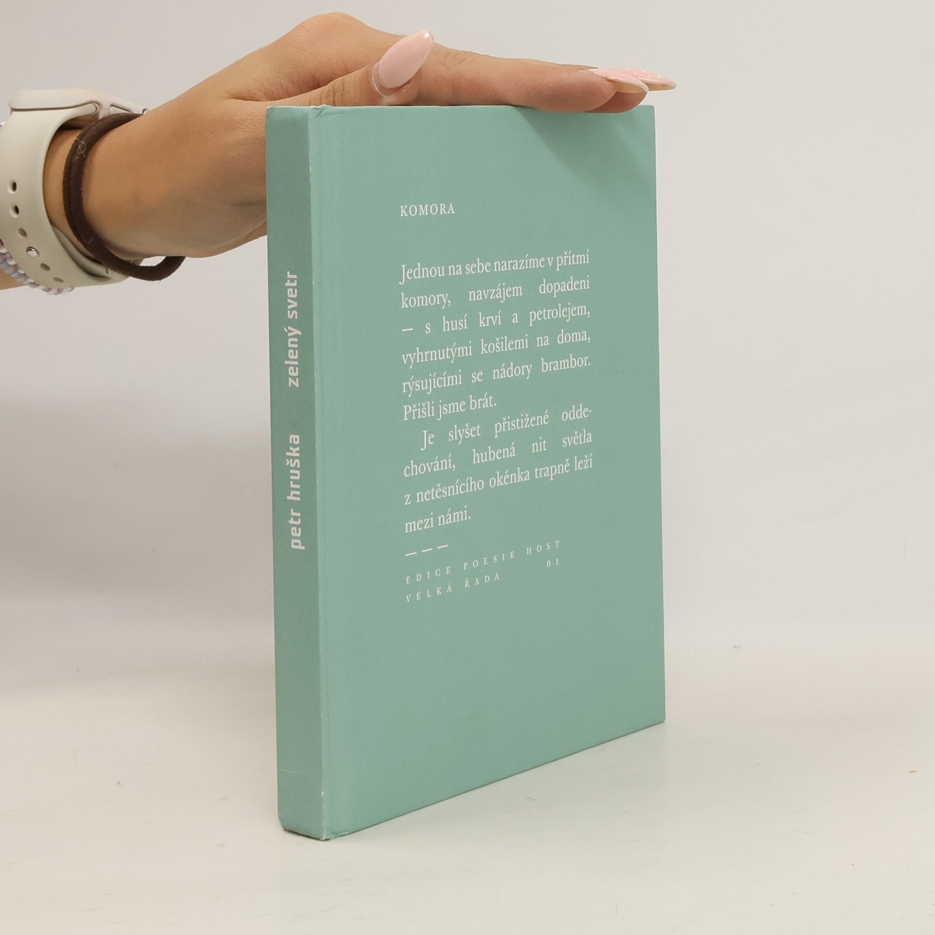 Petr Hruška Zelený svetr