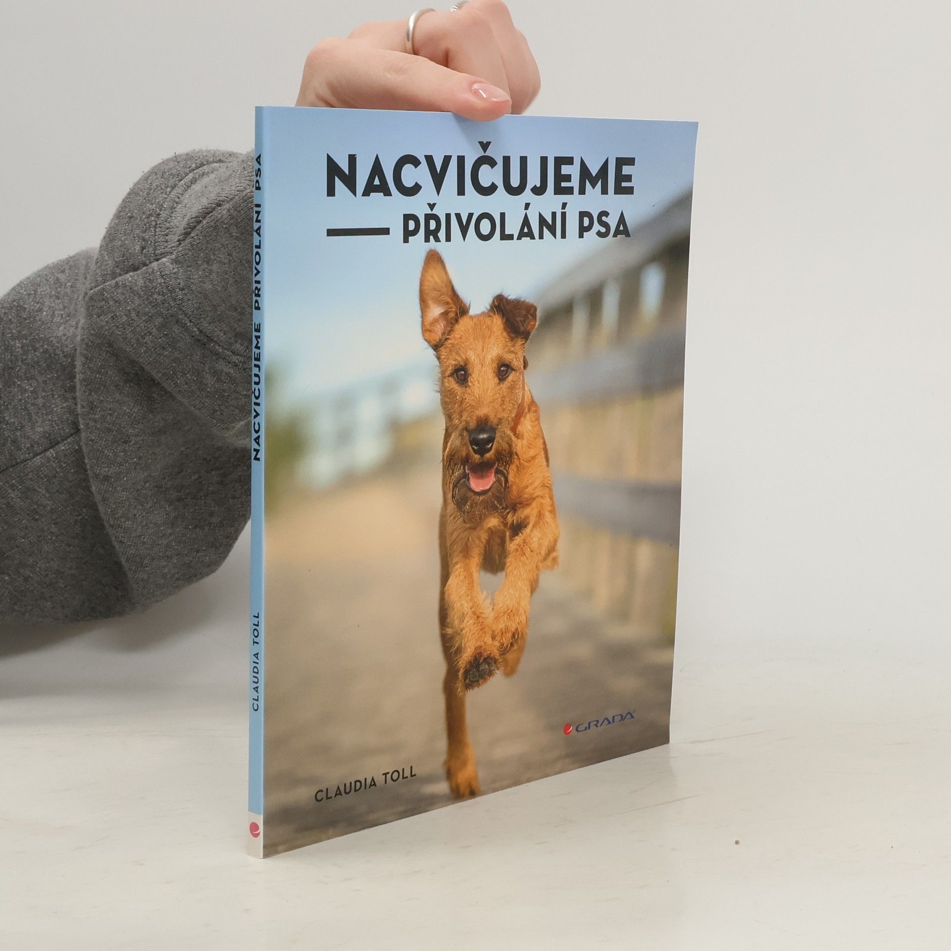 Nacvičujeme přivolání psa