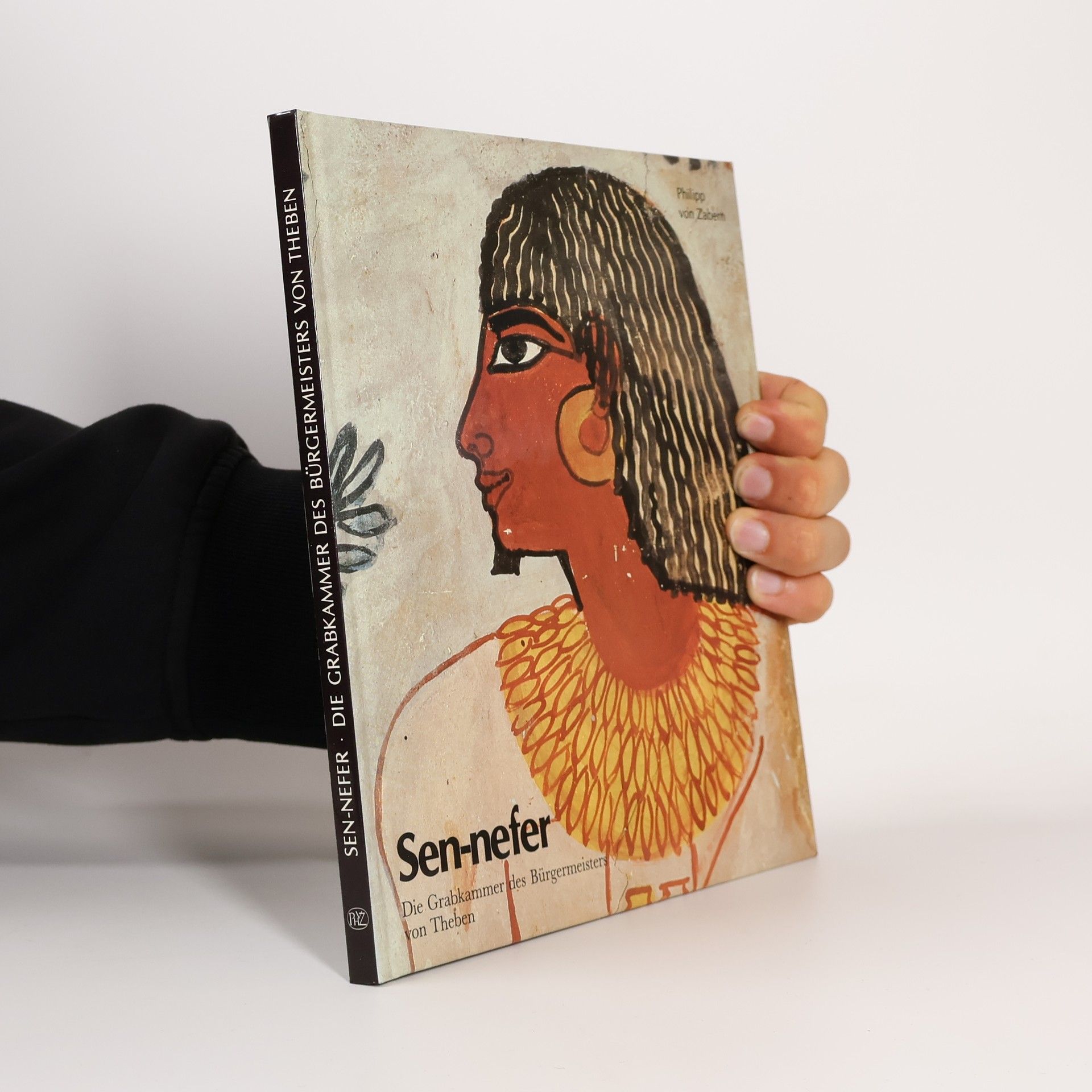 Christiane Desroches-Noblecourt Sen-nefer. Die Grabkammer des Bürgermeisters von Theben