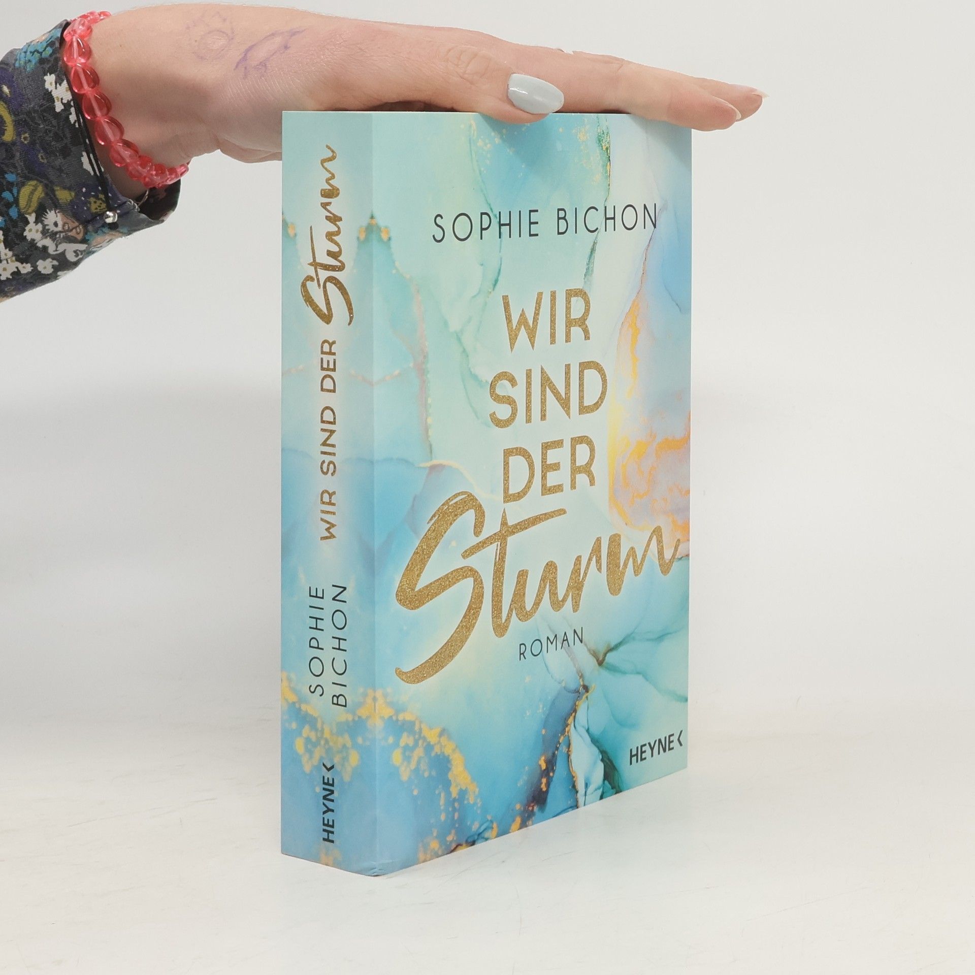 Sophie Bichon Redstone-Reihe 2. Wir sind der Sturm