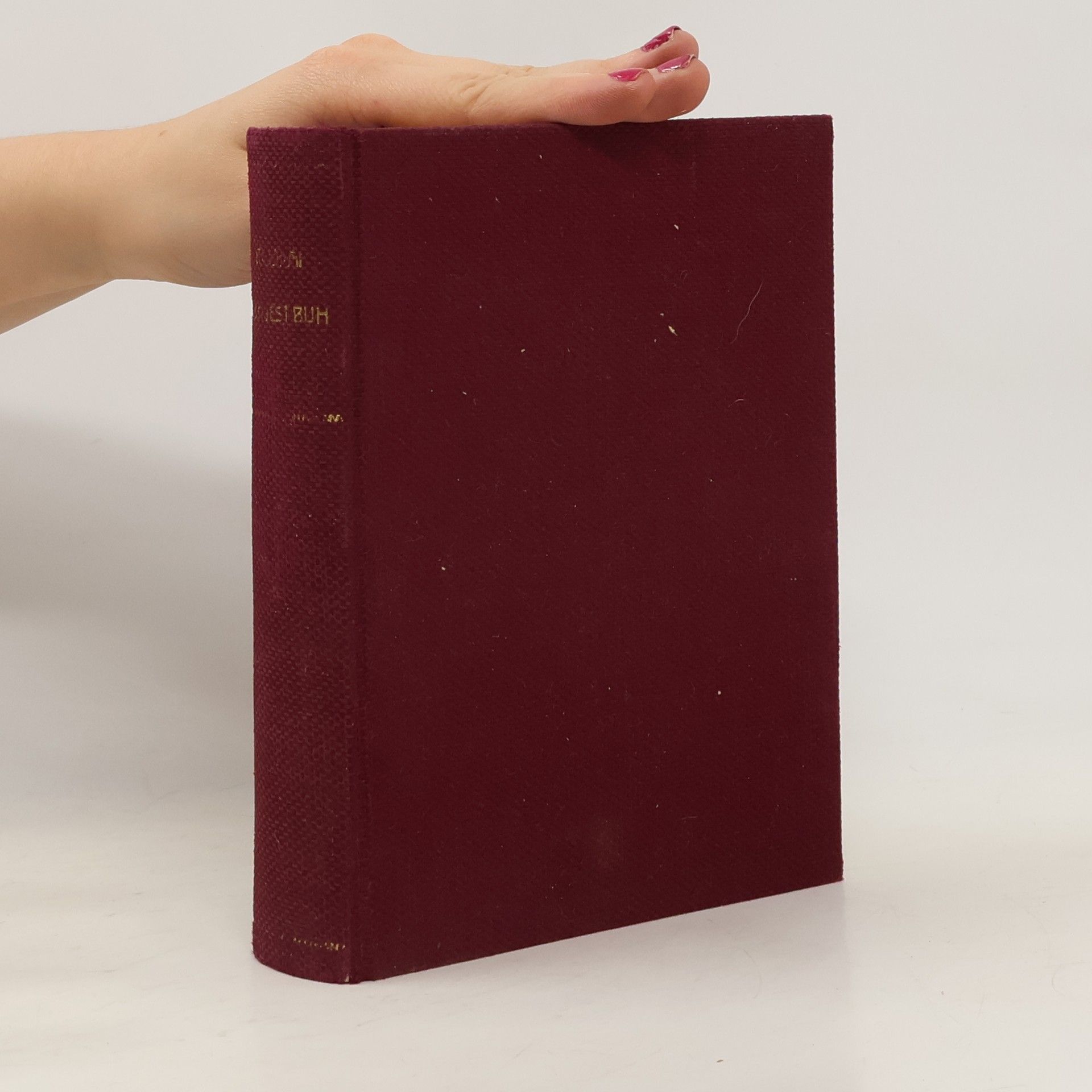 Mór Jókai Jeden jest bůh