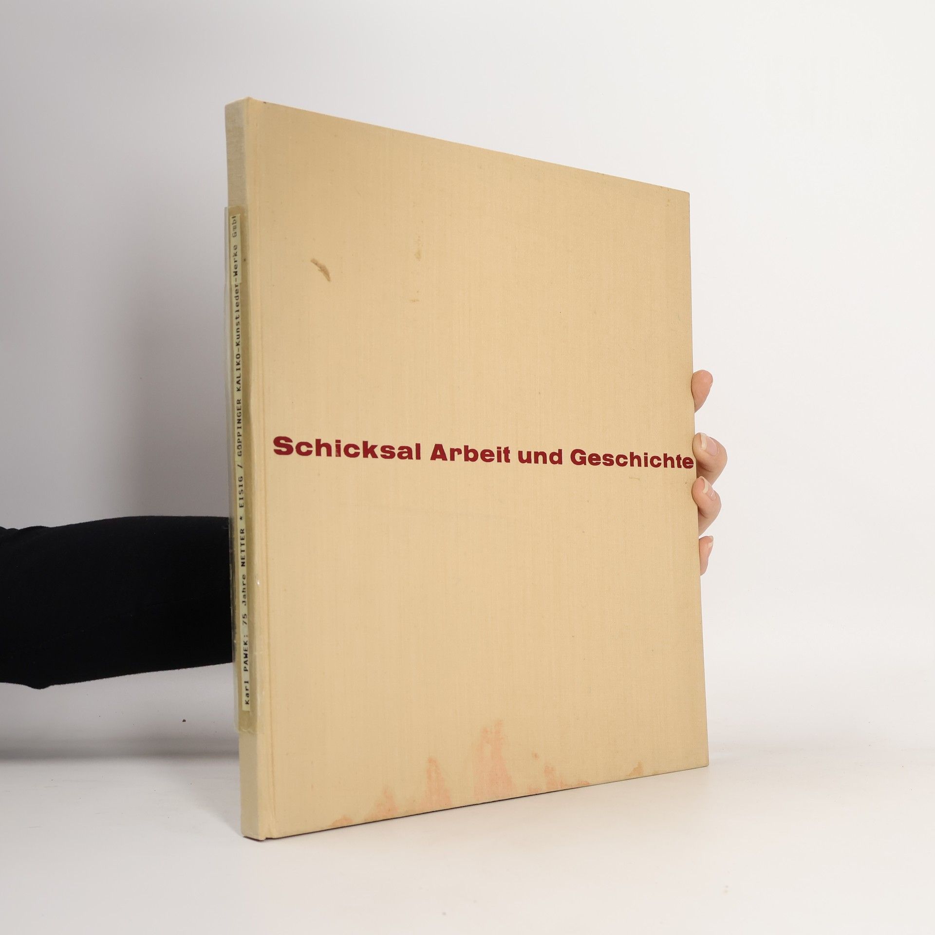 AA.VV. Schicksal Arbeit und Geschichte