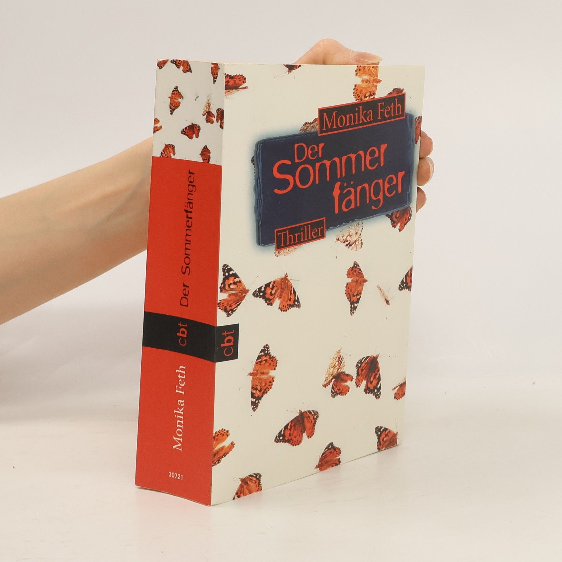 Monika Feth Der Sommerfänger