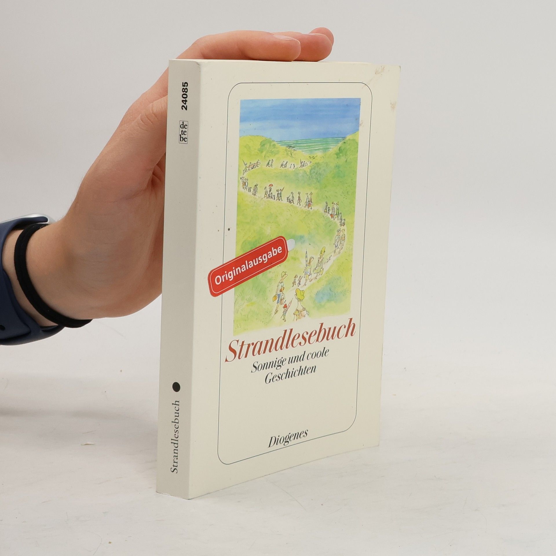 Daniel Kampa Strandlesebuch