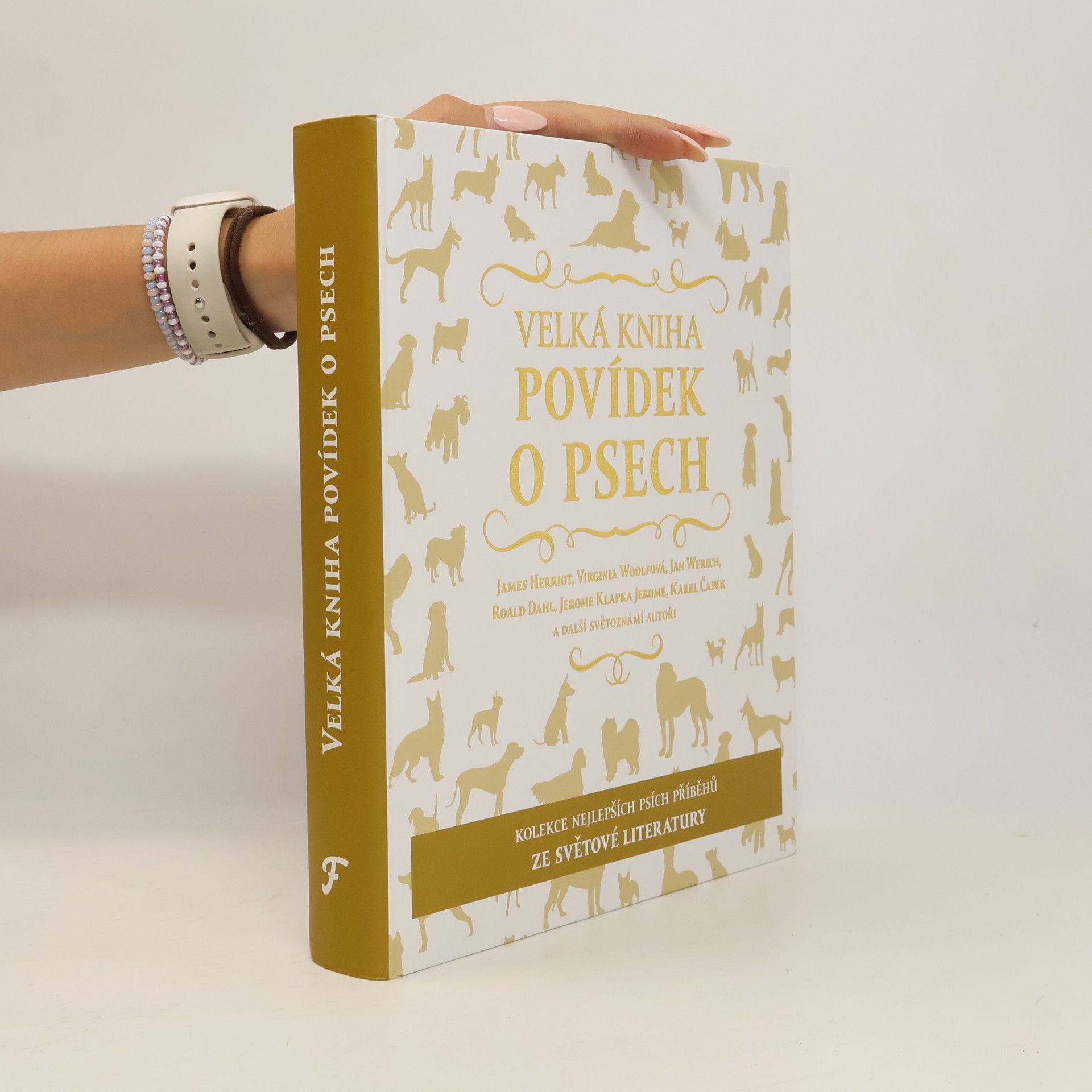 Kolektív autorov Velká kniha povídek o psech