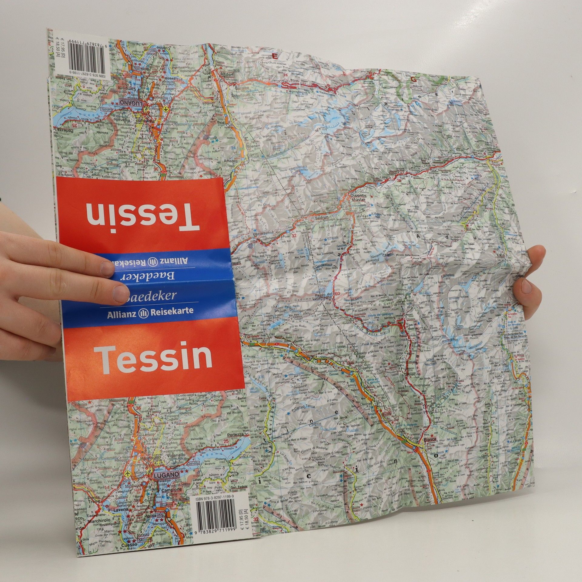 Wolftraud de Concini Tessin