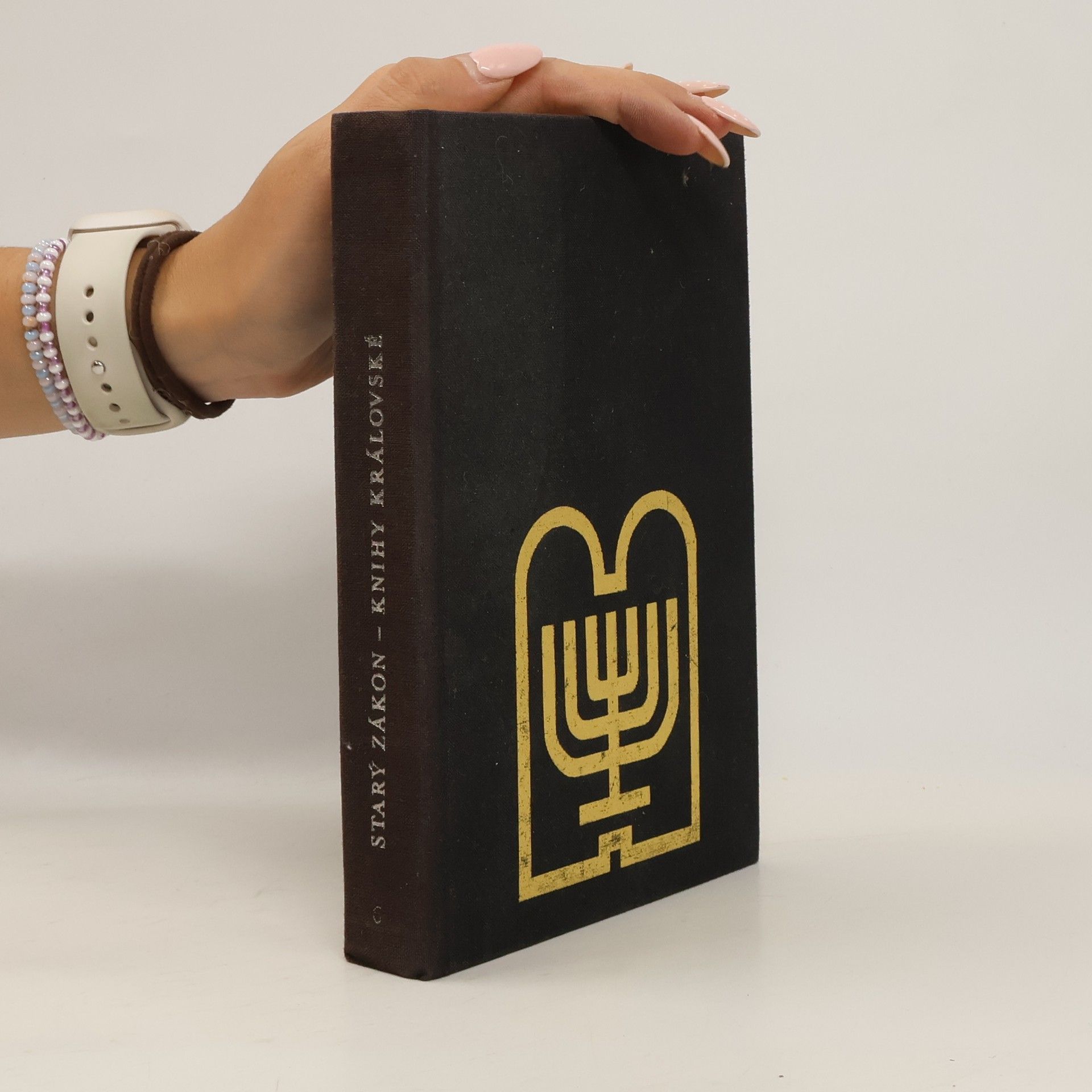 Autorenkollektiv Starý zákon 6. Knihy královské a druhá Paralipomenon