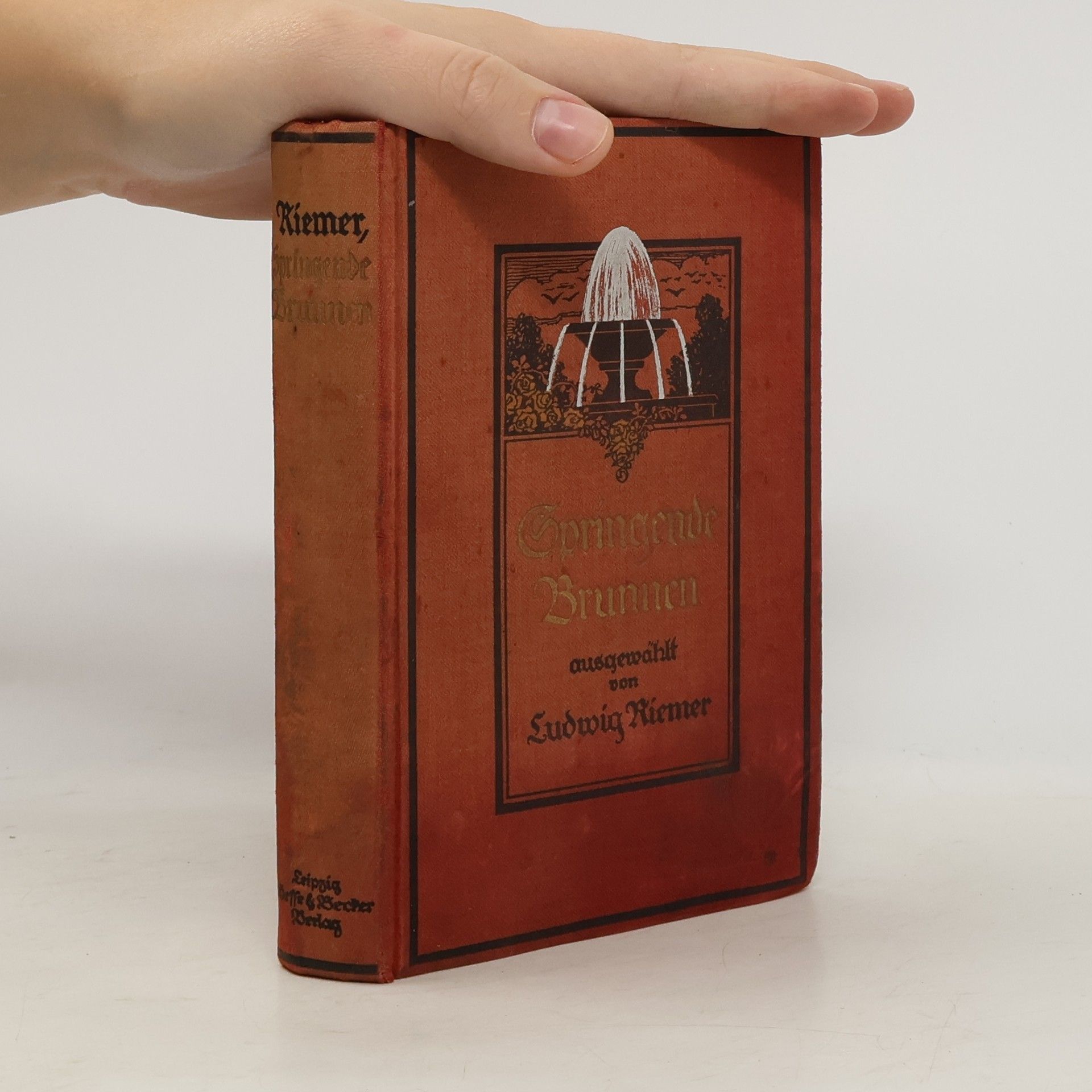 Holger Ludwig Riemer Springende Brunnen