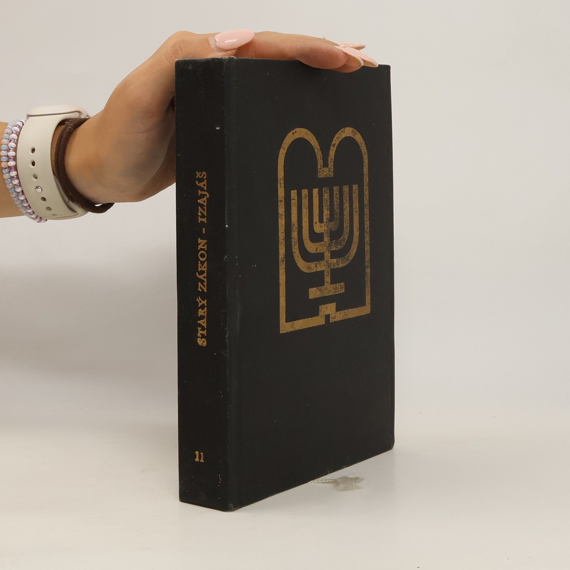 Kolektív autorov Starý Zákon: Překlad s výkladem