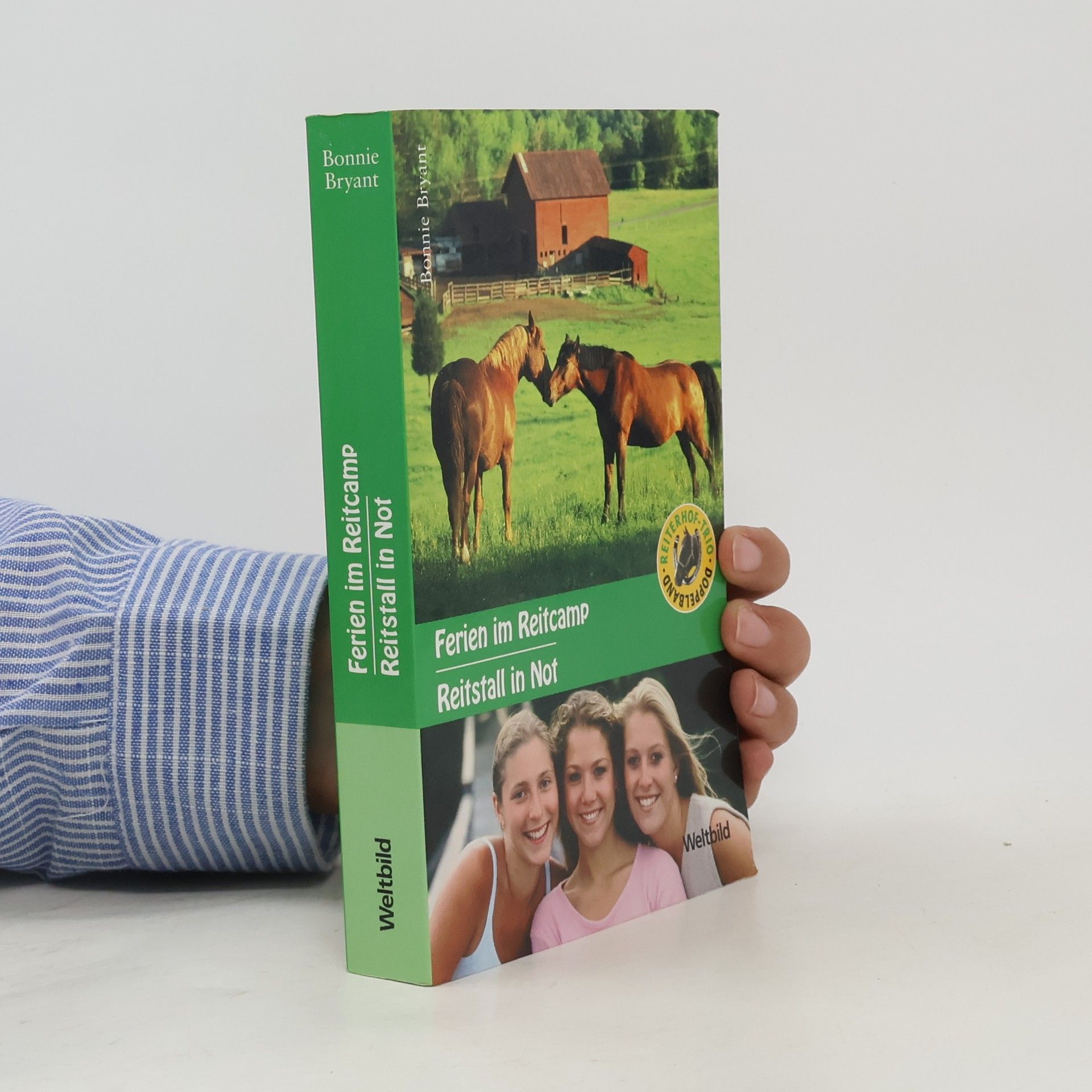 Bonnie Bryant Ferien im Reitcamp. Reitstall in Not