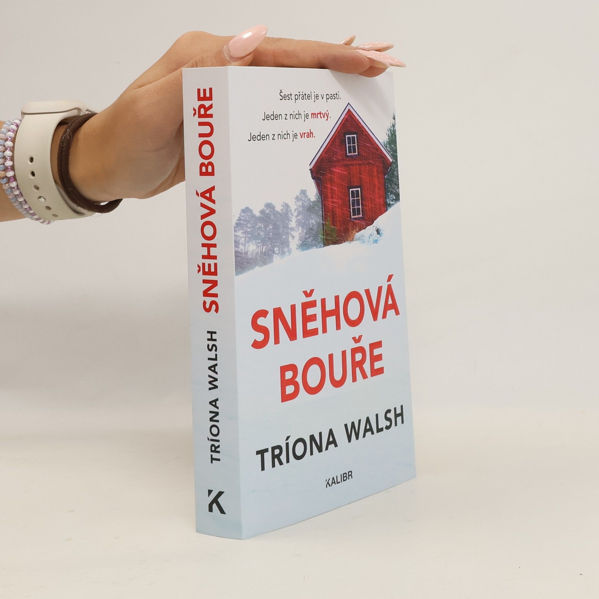 Tríona Walsh Sněhová bouře