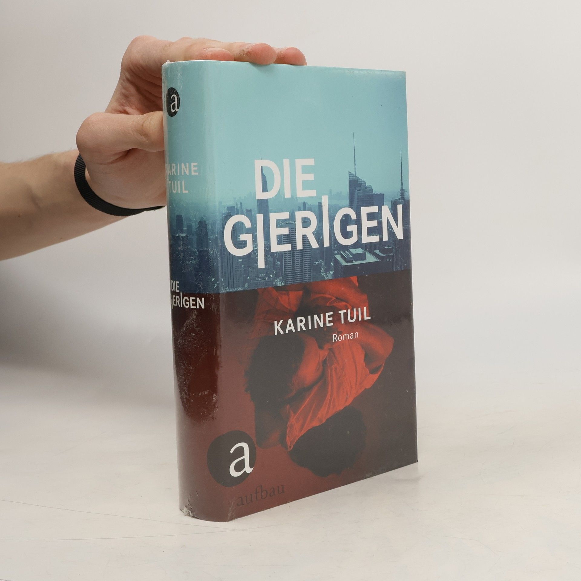 Karine Tuil Die Gierigen