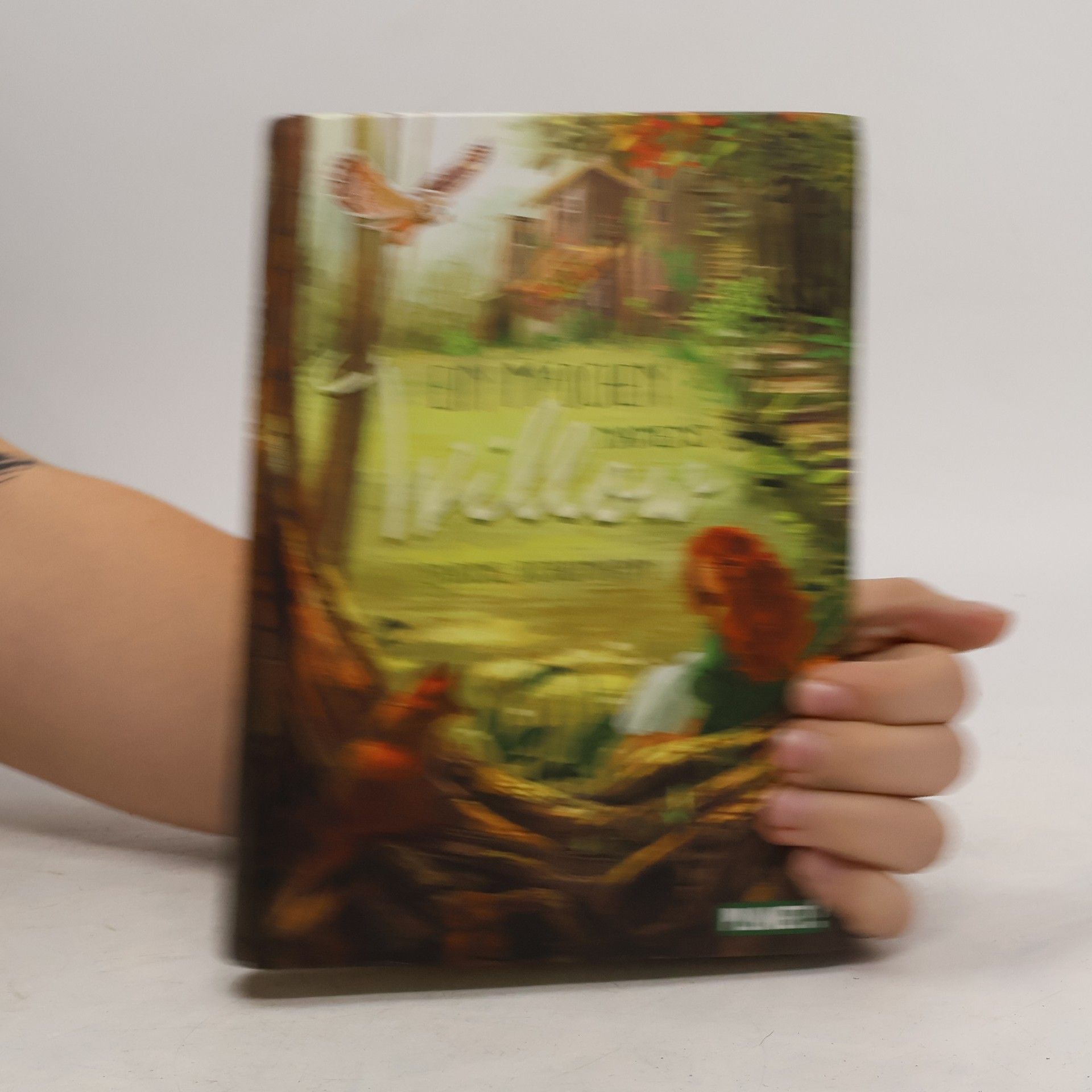 Sabine Bohlmann Ein Mädchen namens Willow