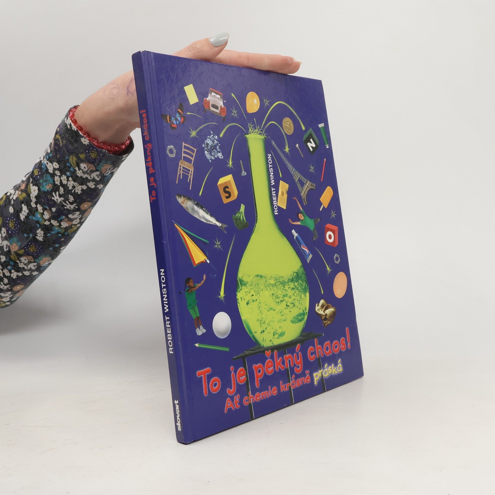 Robert Winston To je pěkný chaos!