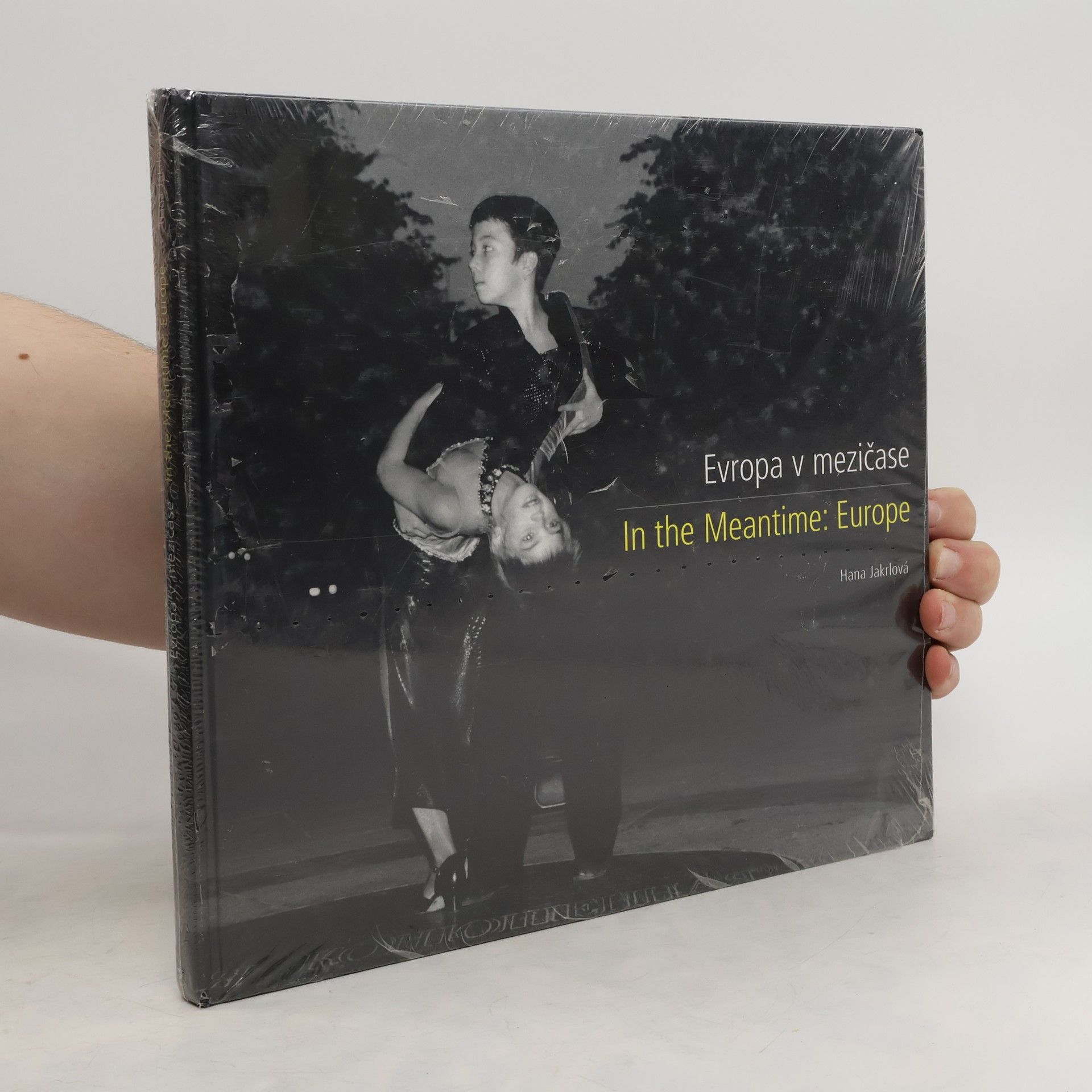 Hana Jakrlová Kirkpatrick Evropa v mezičase. In the meantime: Europe