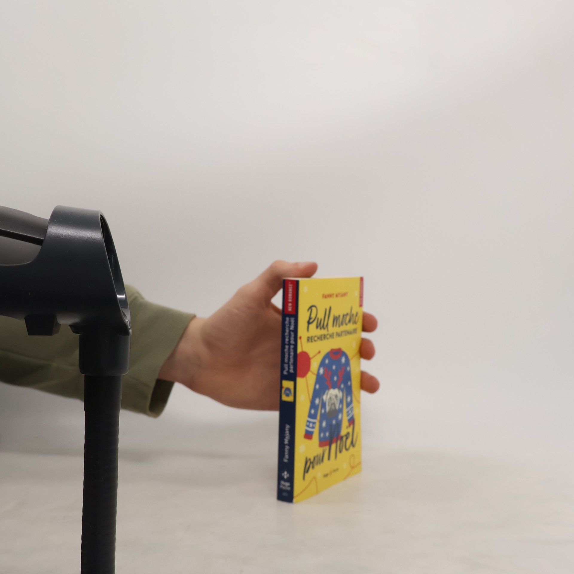 Fanny Myjany Pull moche recherche partenaire pour Noël