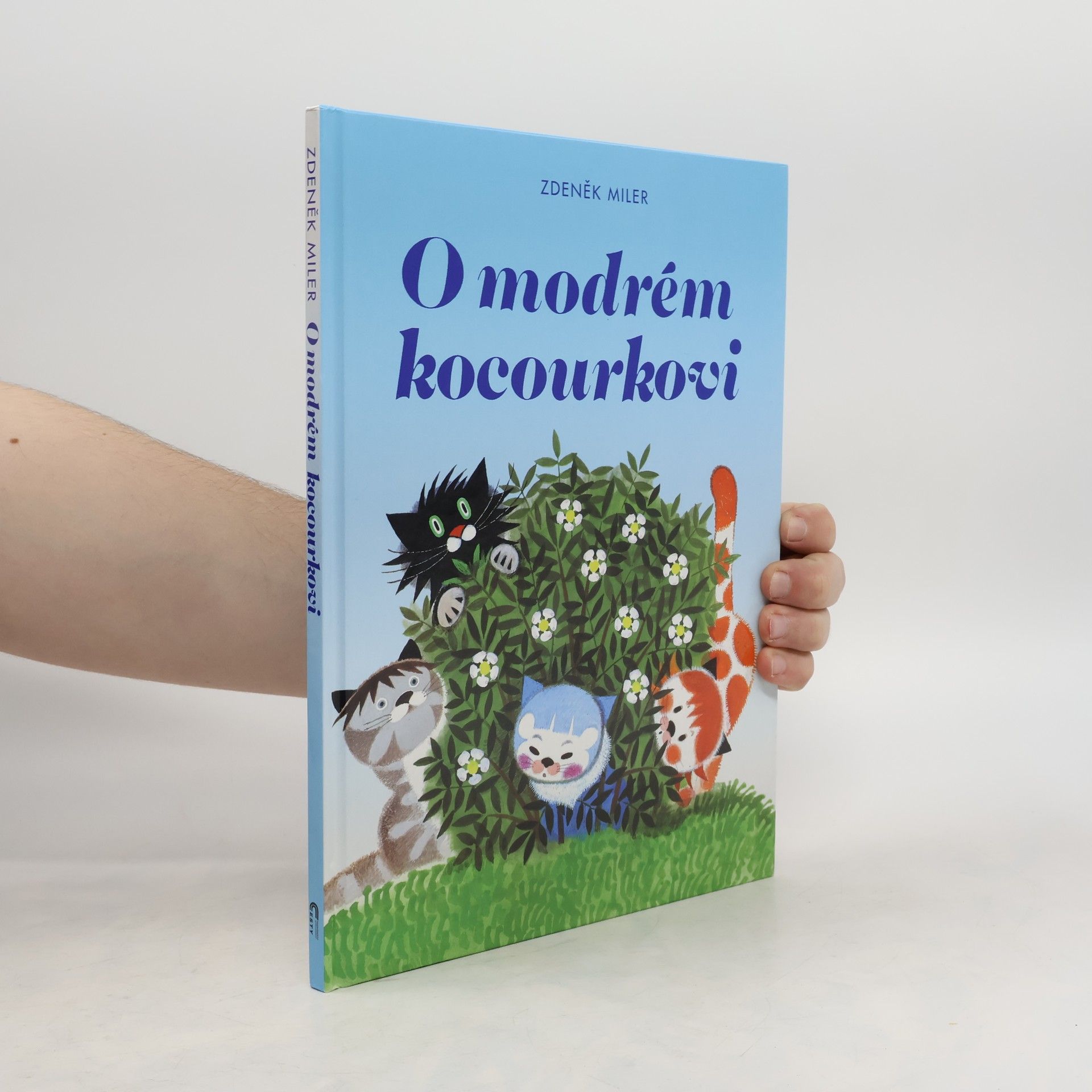 Marika Hellstrom Kennedy O modrém kocourkovi