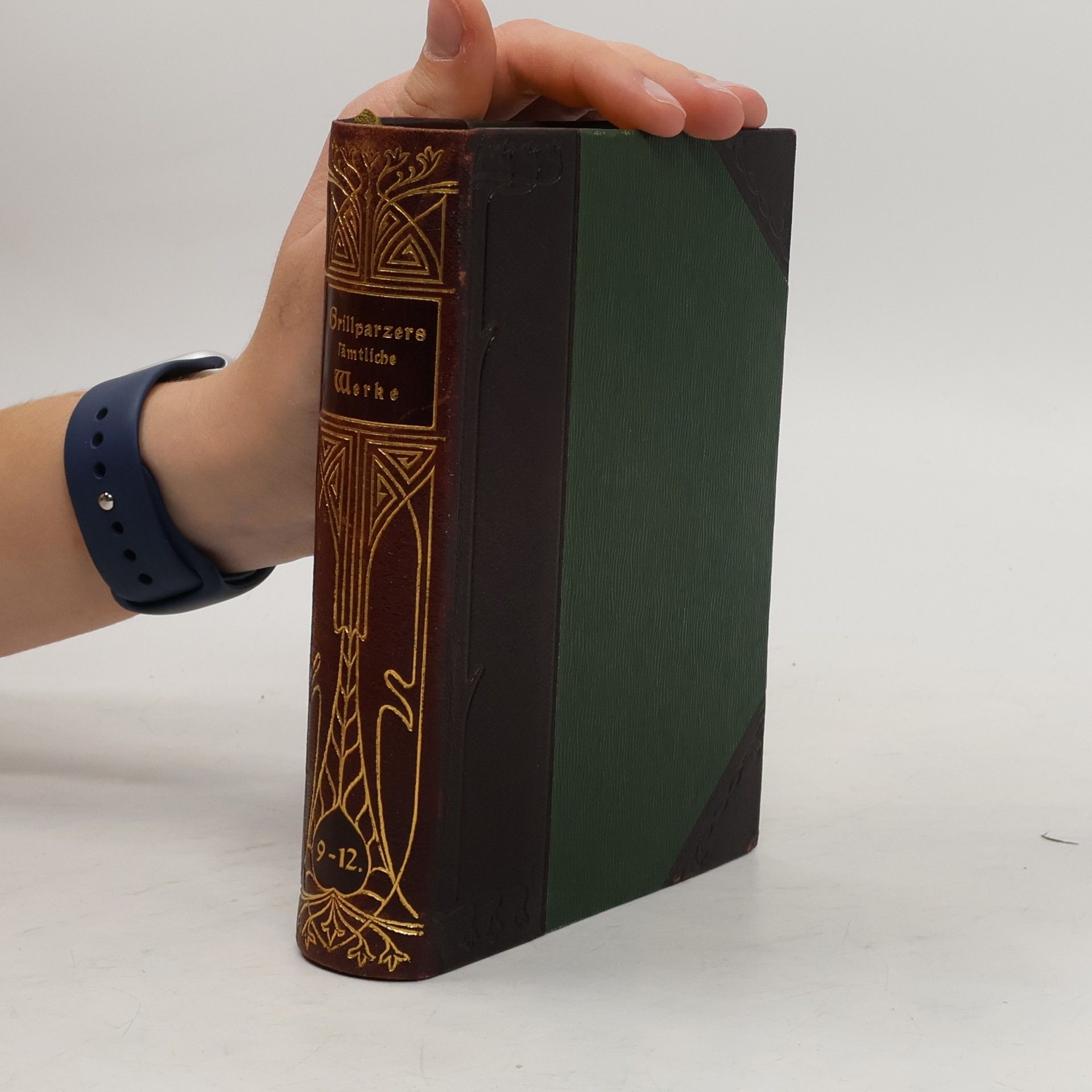 Grillparzers sämtliche Werke 9