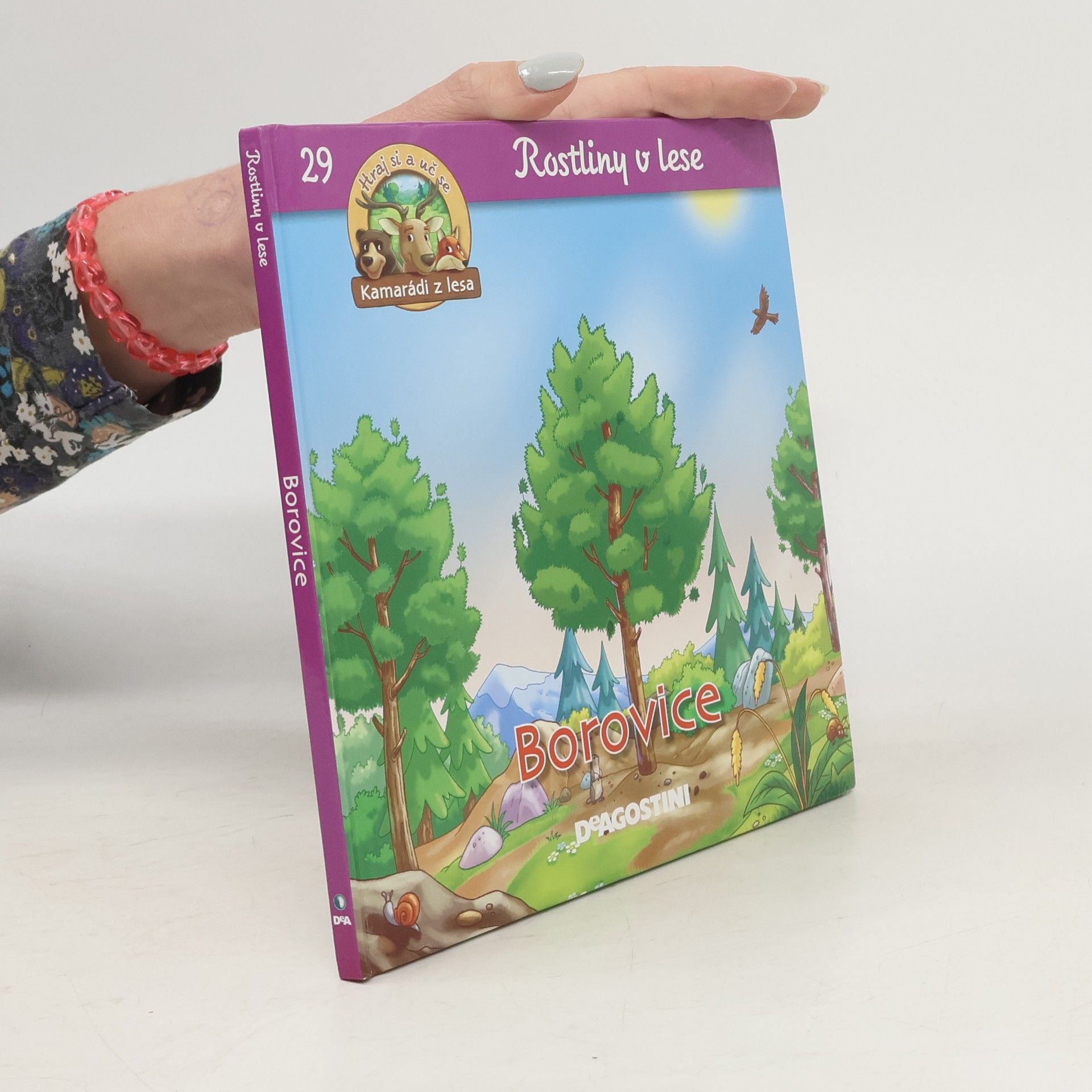 Collectif d'auteurs Rostliny v lese 29. Borovice