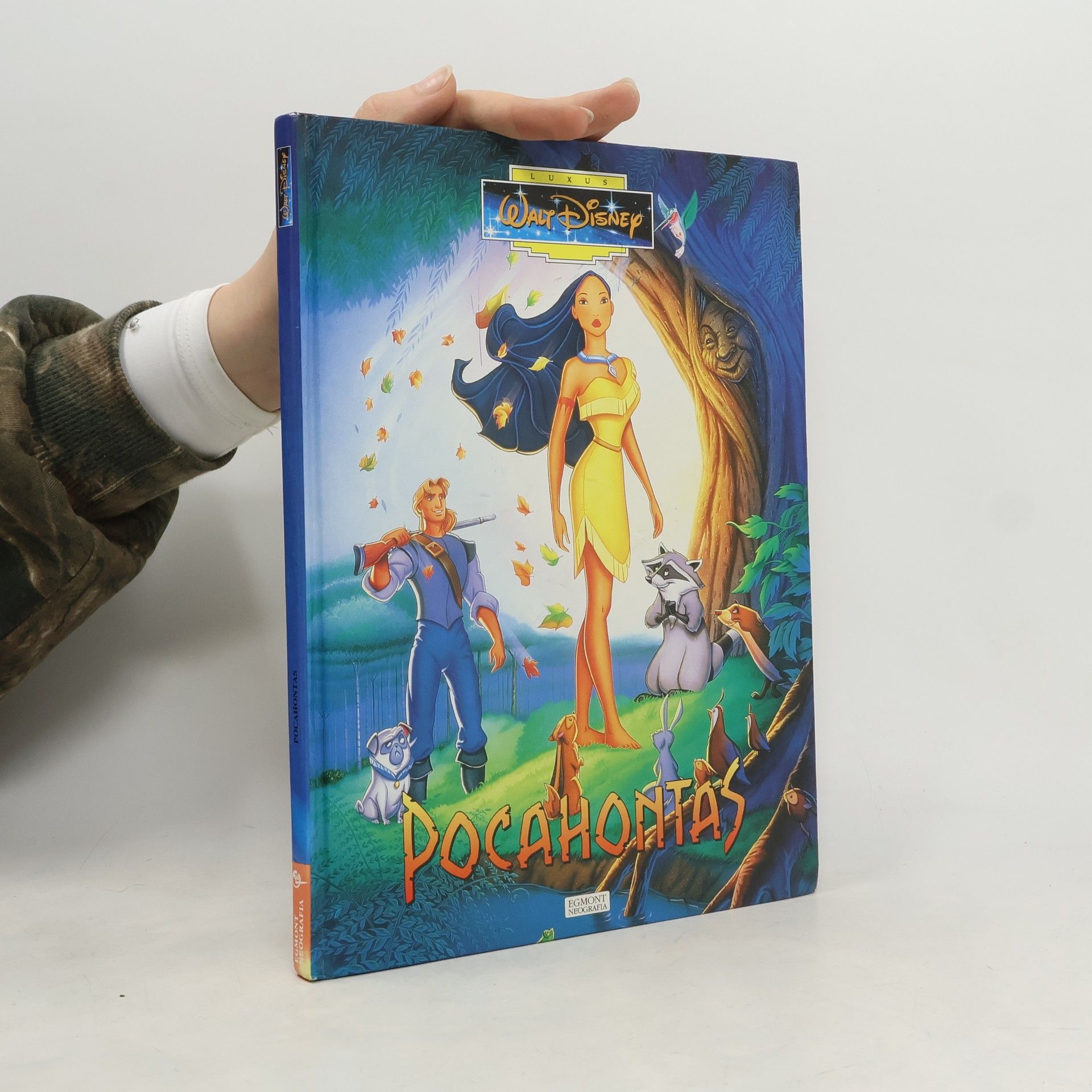 Walt Disney Pocahontas