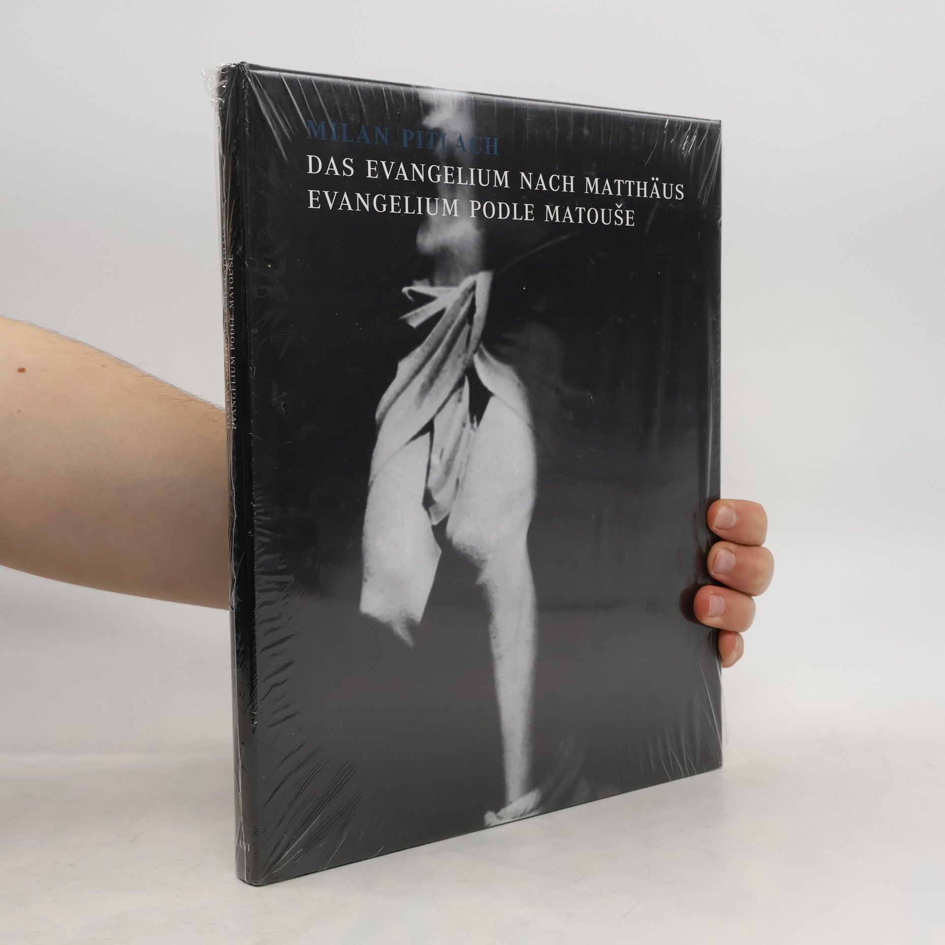 Milan Pitlach Das Evangelium nach Matthäus = Evangelium podle Matouše